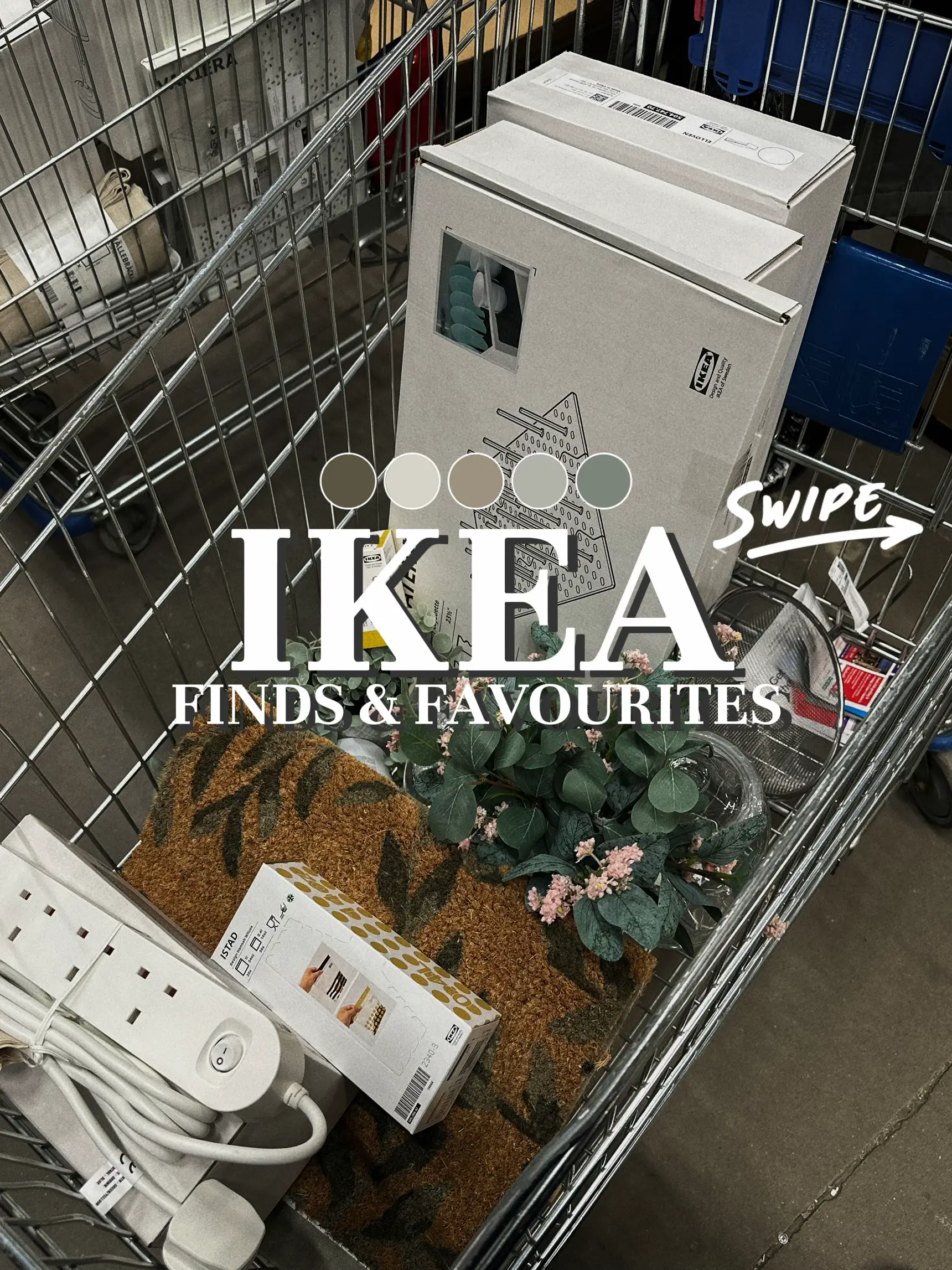 IKEA's SNURRAD has given me the most organized fridge ever