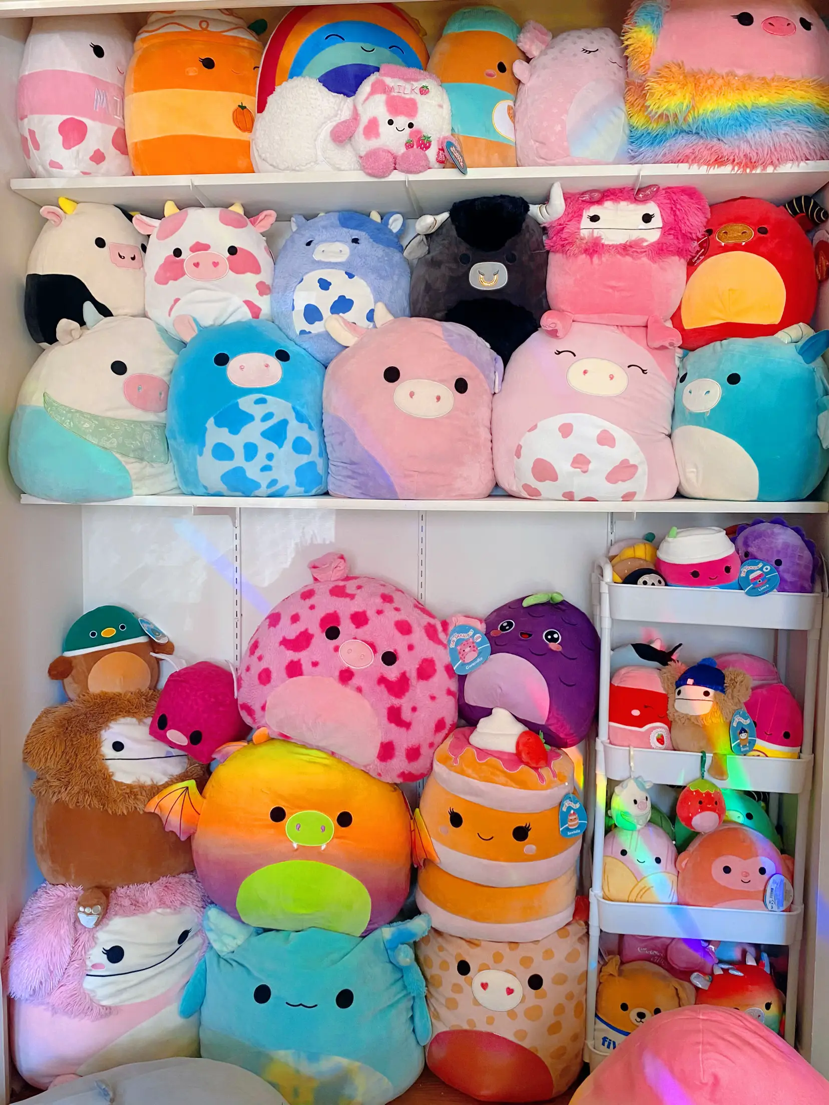 Squishmallow Display Inspiration for Collections of All Sizes - Showfront  Collectors