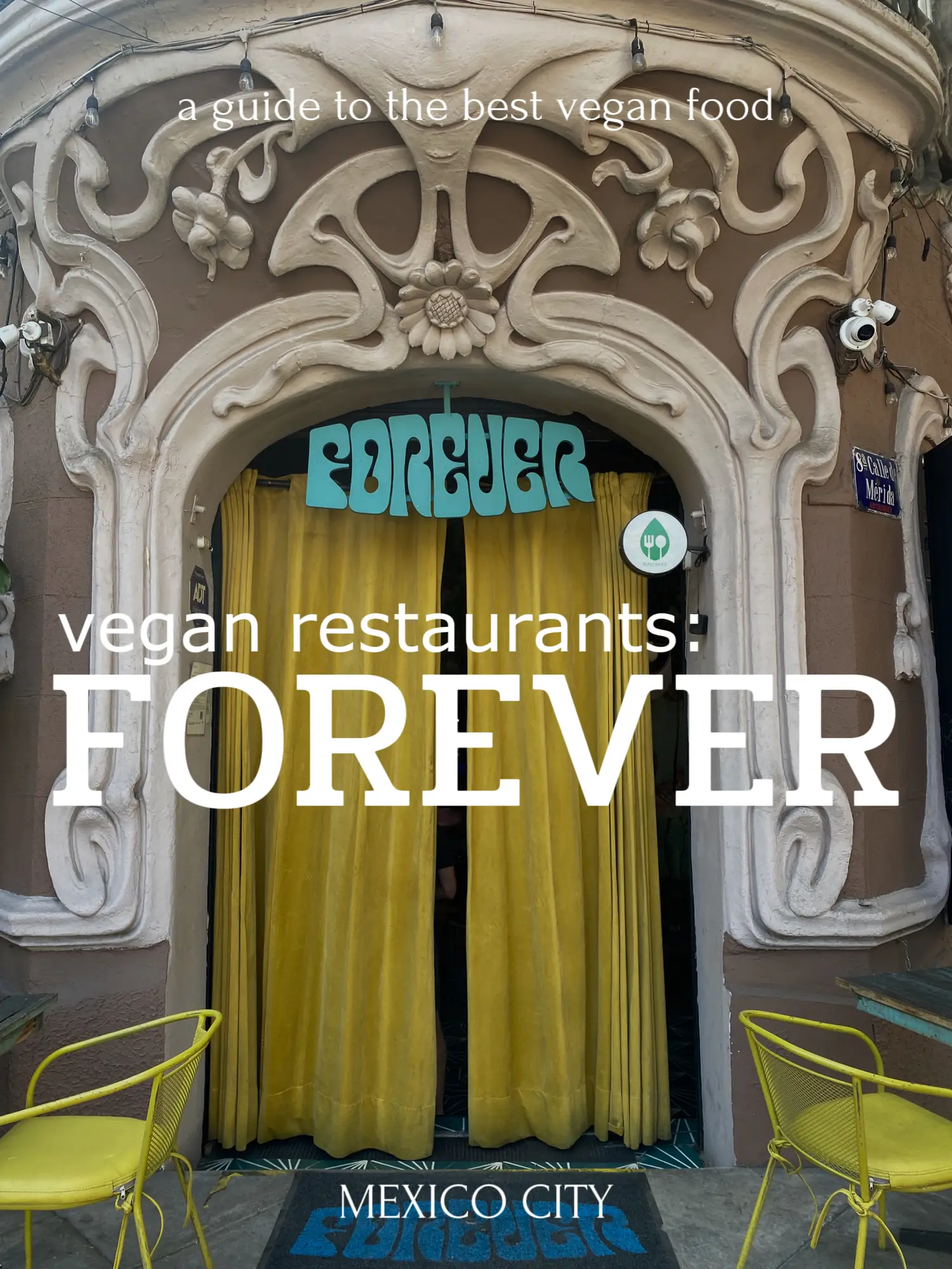 Best Vegan Restaurants in Puerto Vallarta That You'll Love