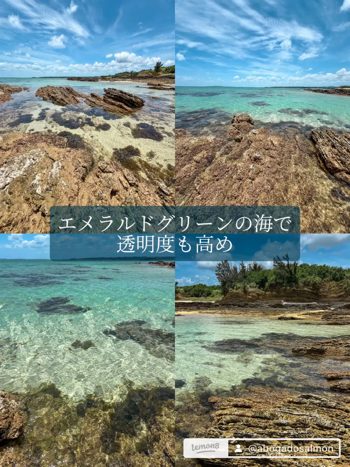 History of Beach Treasures - Lemon8検索