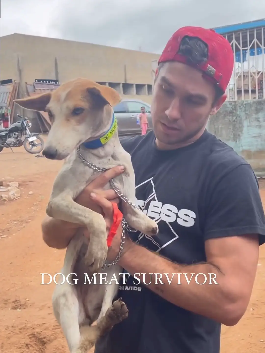 GHANA DOG MEAT SURVIVOR SAVED BY DOG SAVIORS Video published by DOG