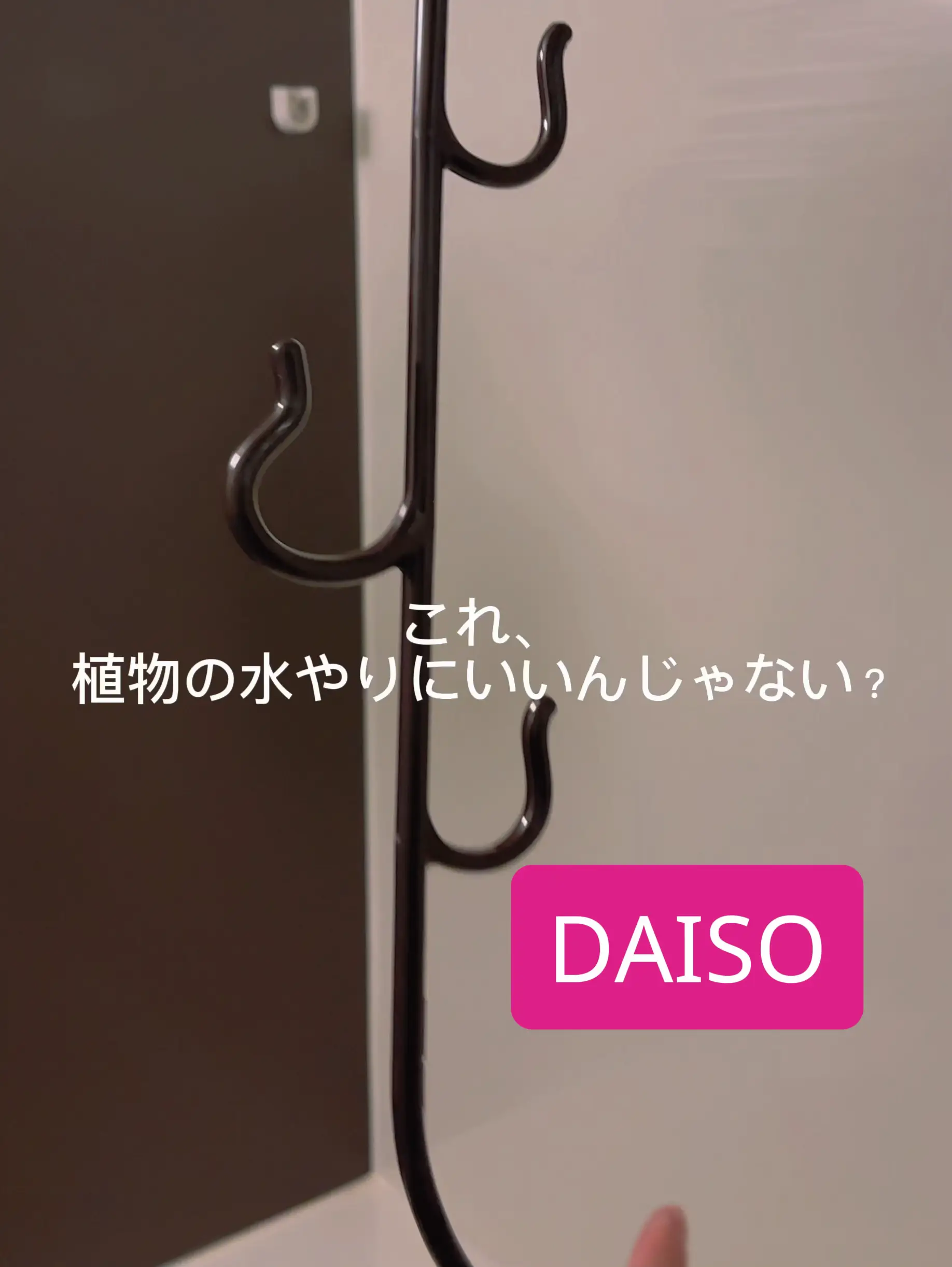 【DAISO】じゃない使い方で時短水やり