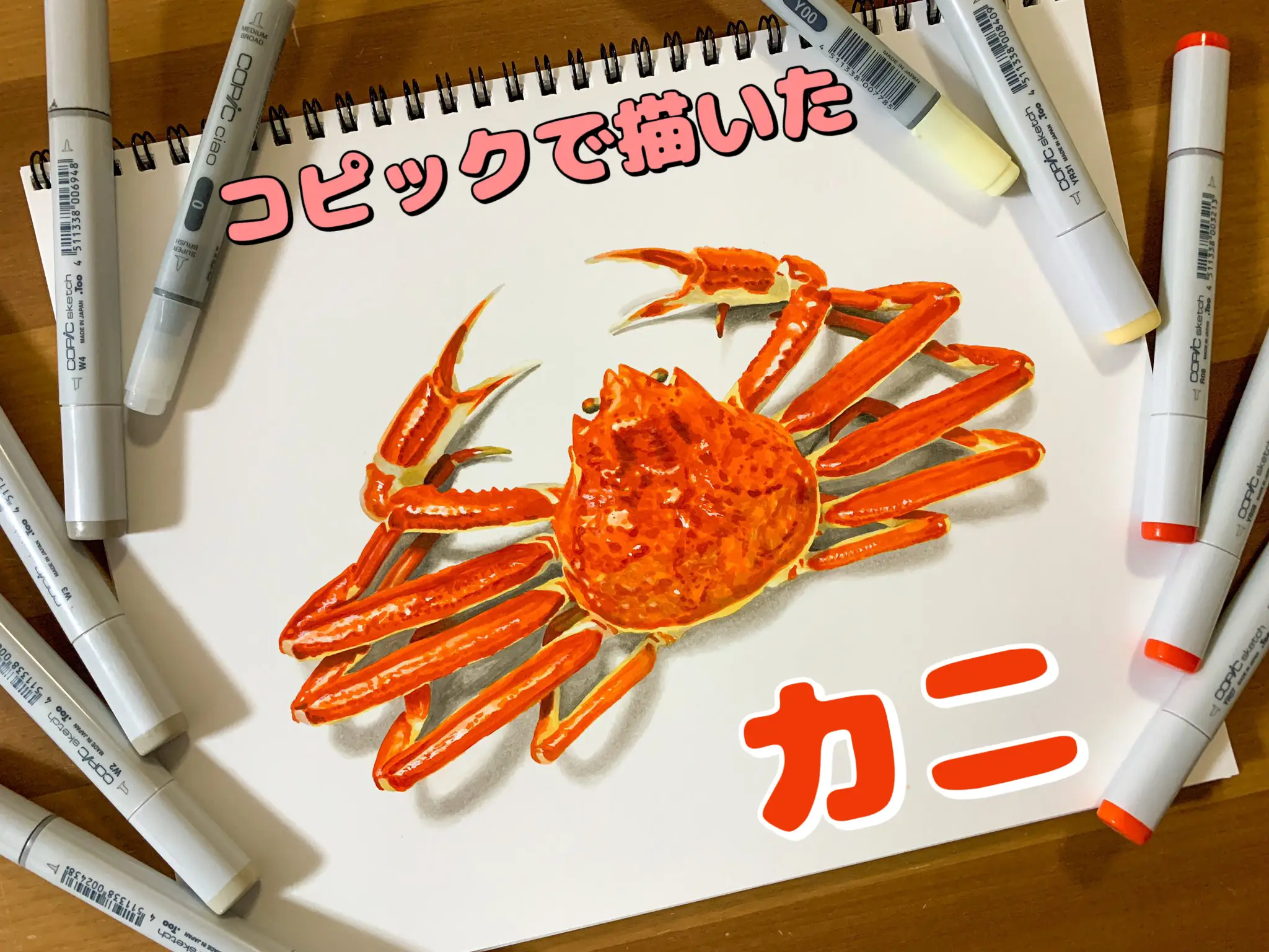 コピックで描いたカニ🦀 | ここまるが投稿したフォトブック | Lemon8