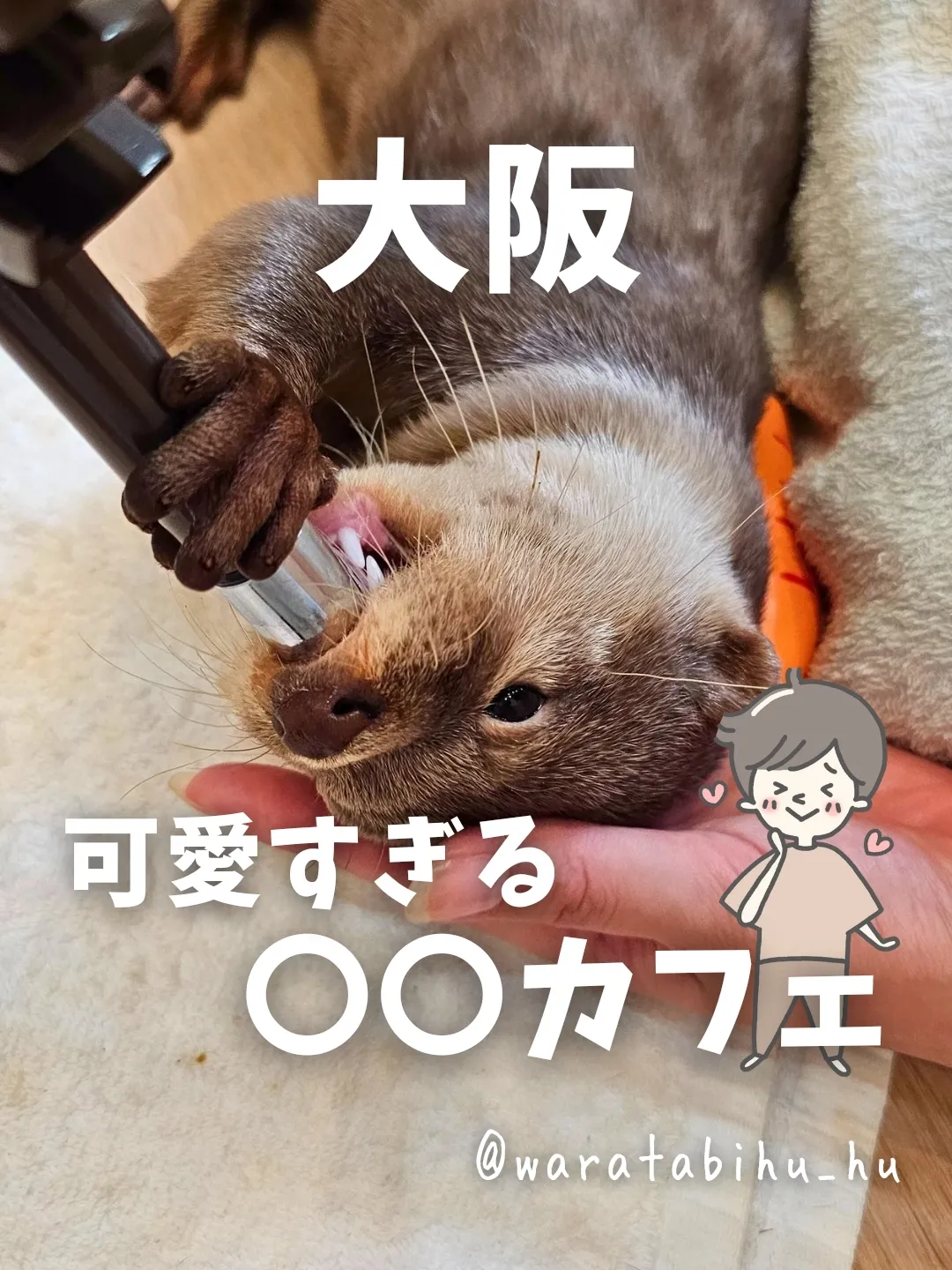 ゆめかわ苺クレープ♪カワウソ 素晴らし