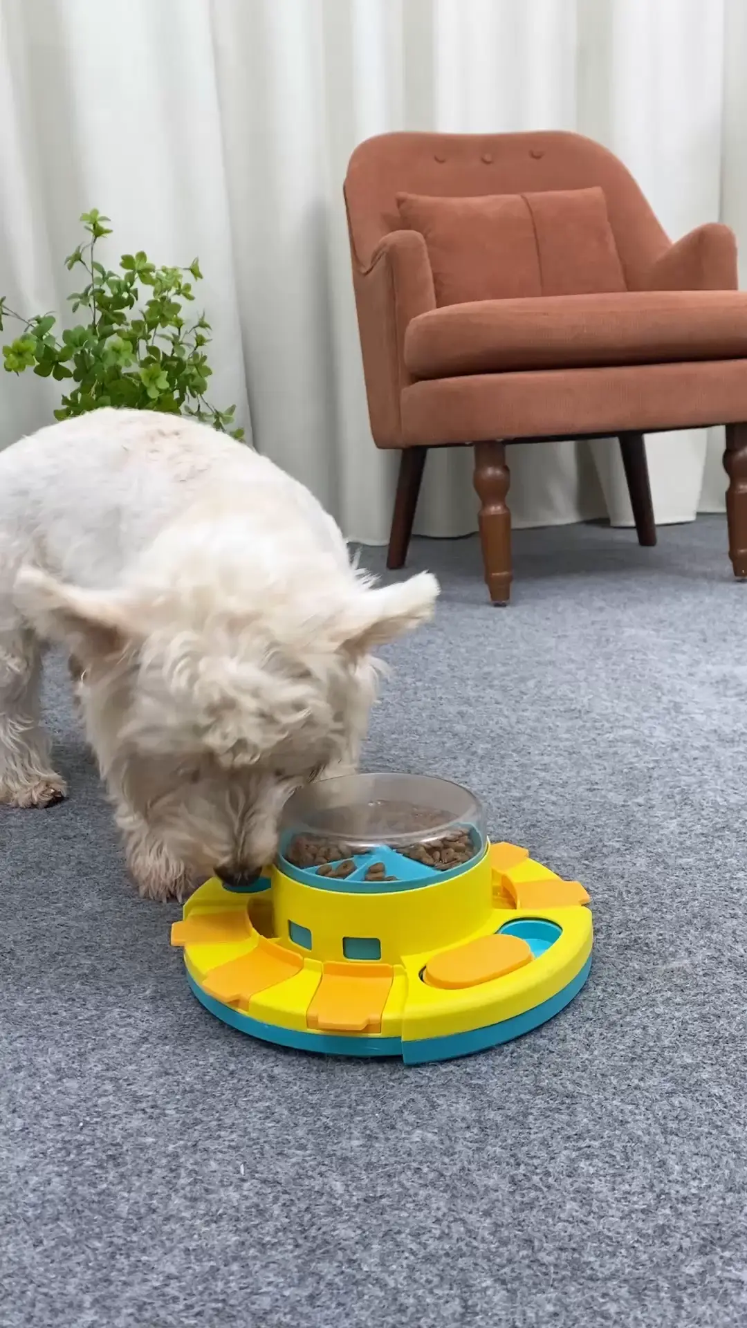 KADTC dog puzzle toys!best toys! K828208, Video published by Amanda