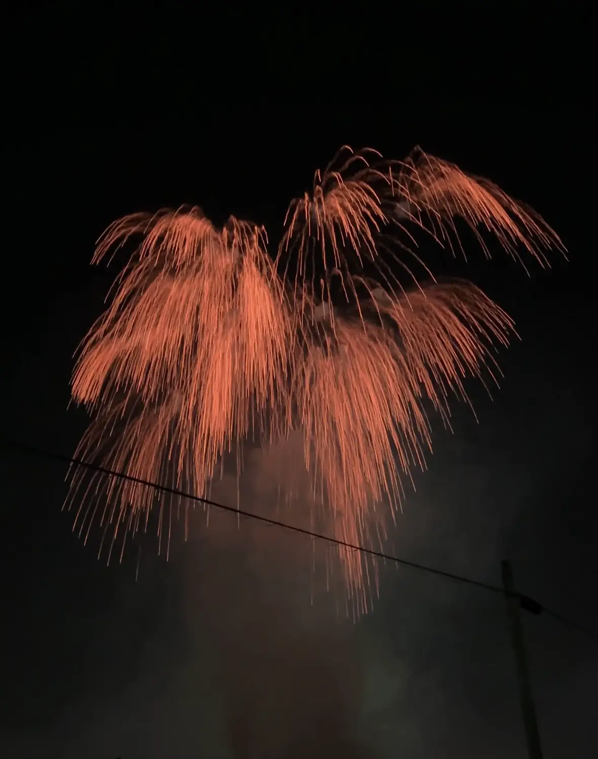 ✨岡崎市花火大会✨ 写真編 | 枝豆が焼き芋みたいだが投稿したフォトブック | Lemon8