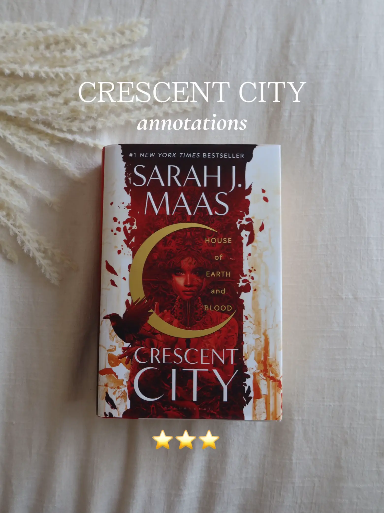 Crescent City 3 Update!! #crescentcity3 #sarahjmaas #crescentcity #aco