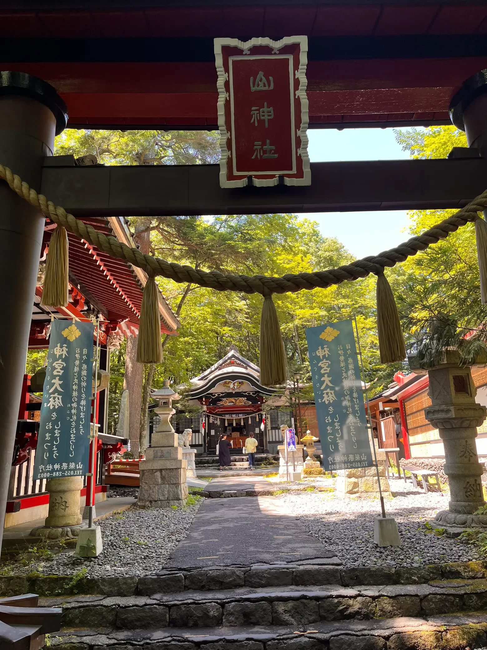 絶対金運アップ！！【新屋山神社】と【富士御室浅間神社】の金運カード 