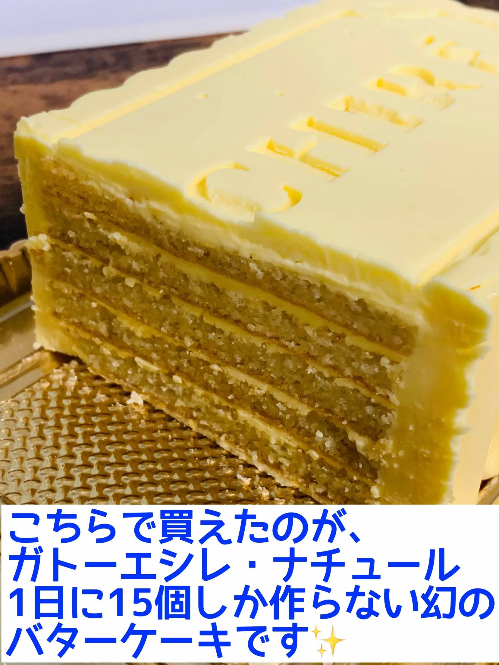 連日行列！ガトー・エシレ ECHIRE ガトーエシレ ナチュール バターケーキ - 食品