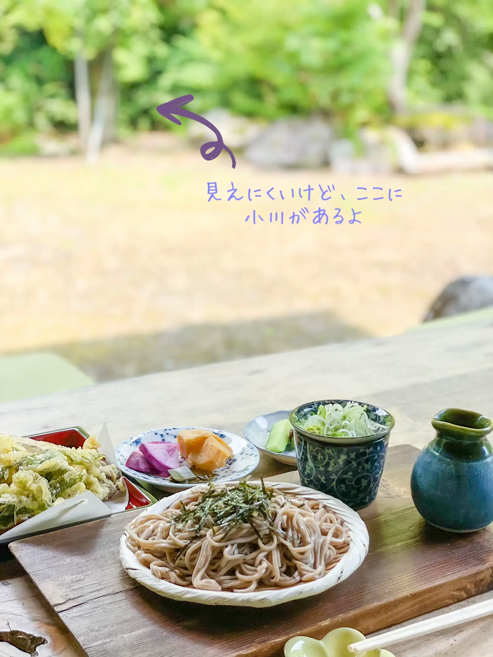 生やぶ蕎麦 (細切り、つゆ付) 田舎風味のやぶ粉使用 (田舎蕎麦風味) 【大注目】 - 日本そば