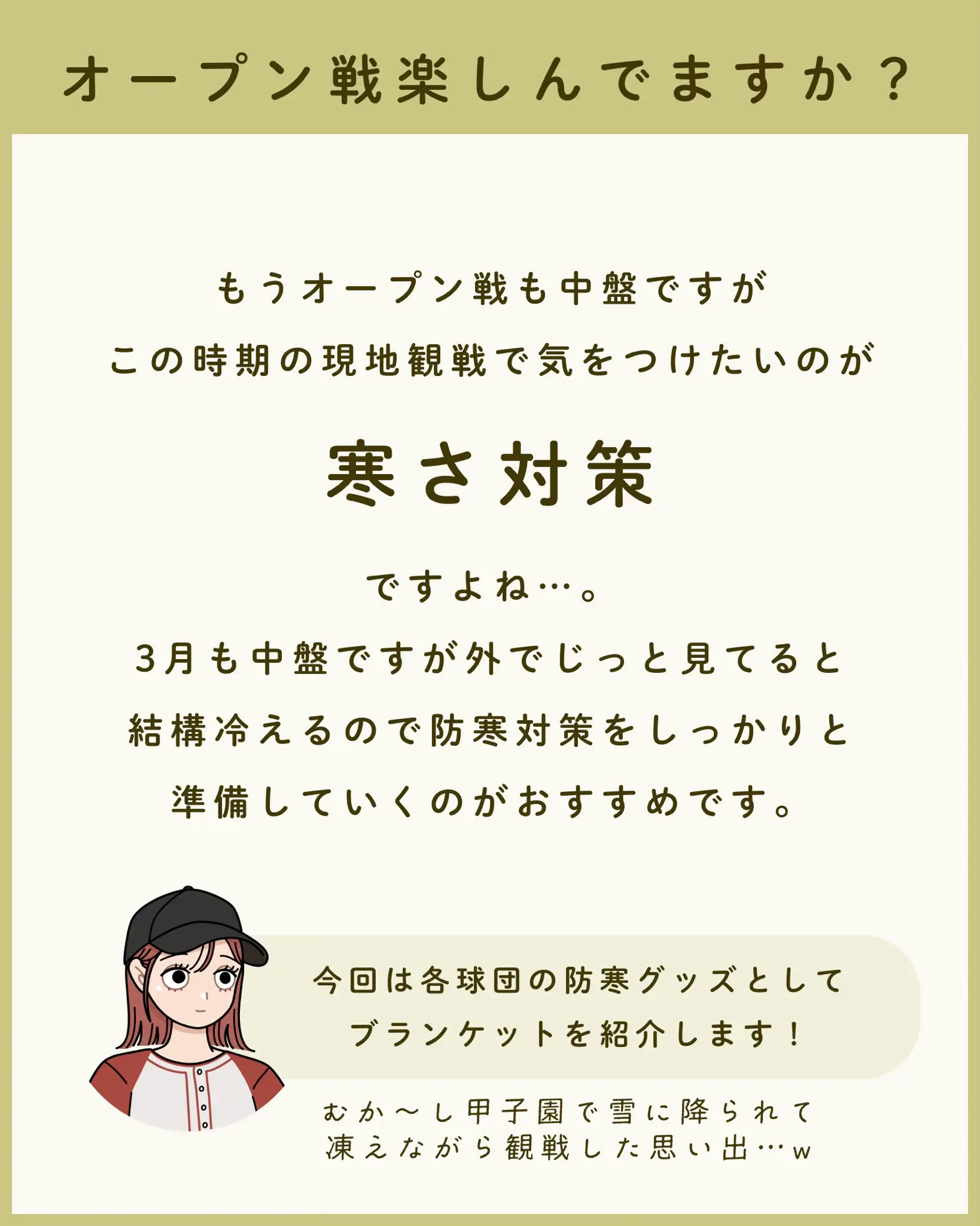 2019 休も ファン感謝デー 阪神タイガース ブランケット