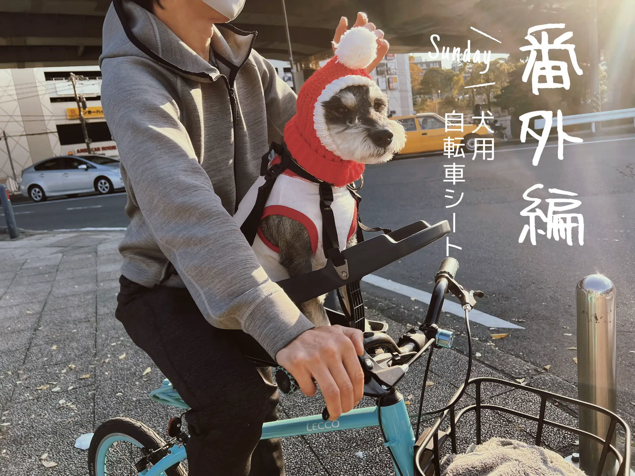 番外編 犬用自転車シート | ジジとめいとジブリ好きが投稿したフォトブック | Lemon8