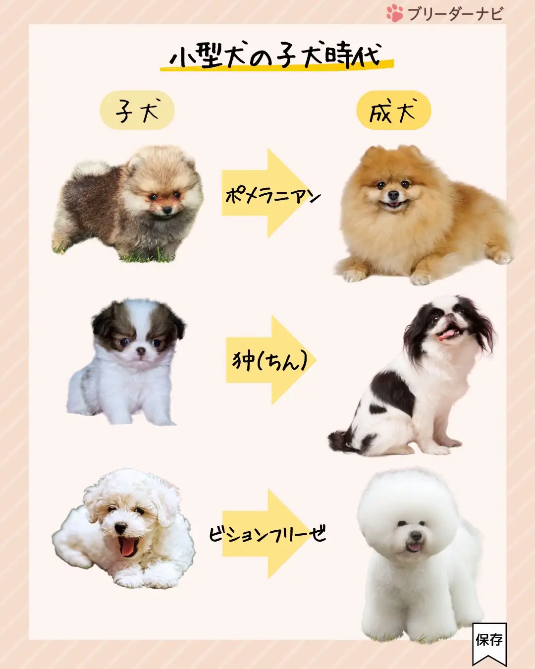 Dog Food Tips - Lemon8検索