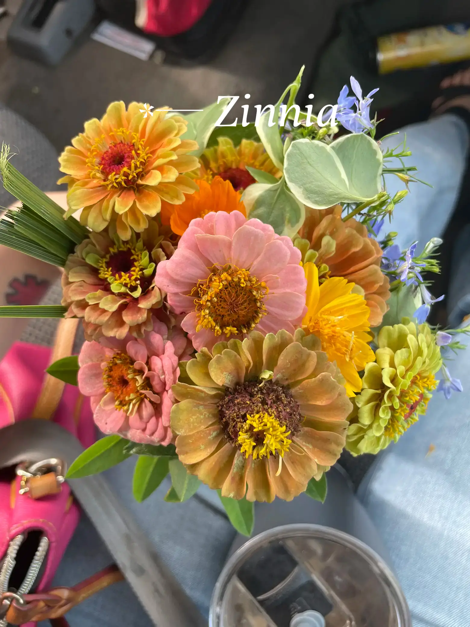 Zinnia Flower Arrangements We Love - Flower Magazine