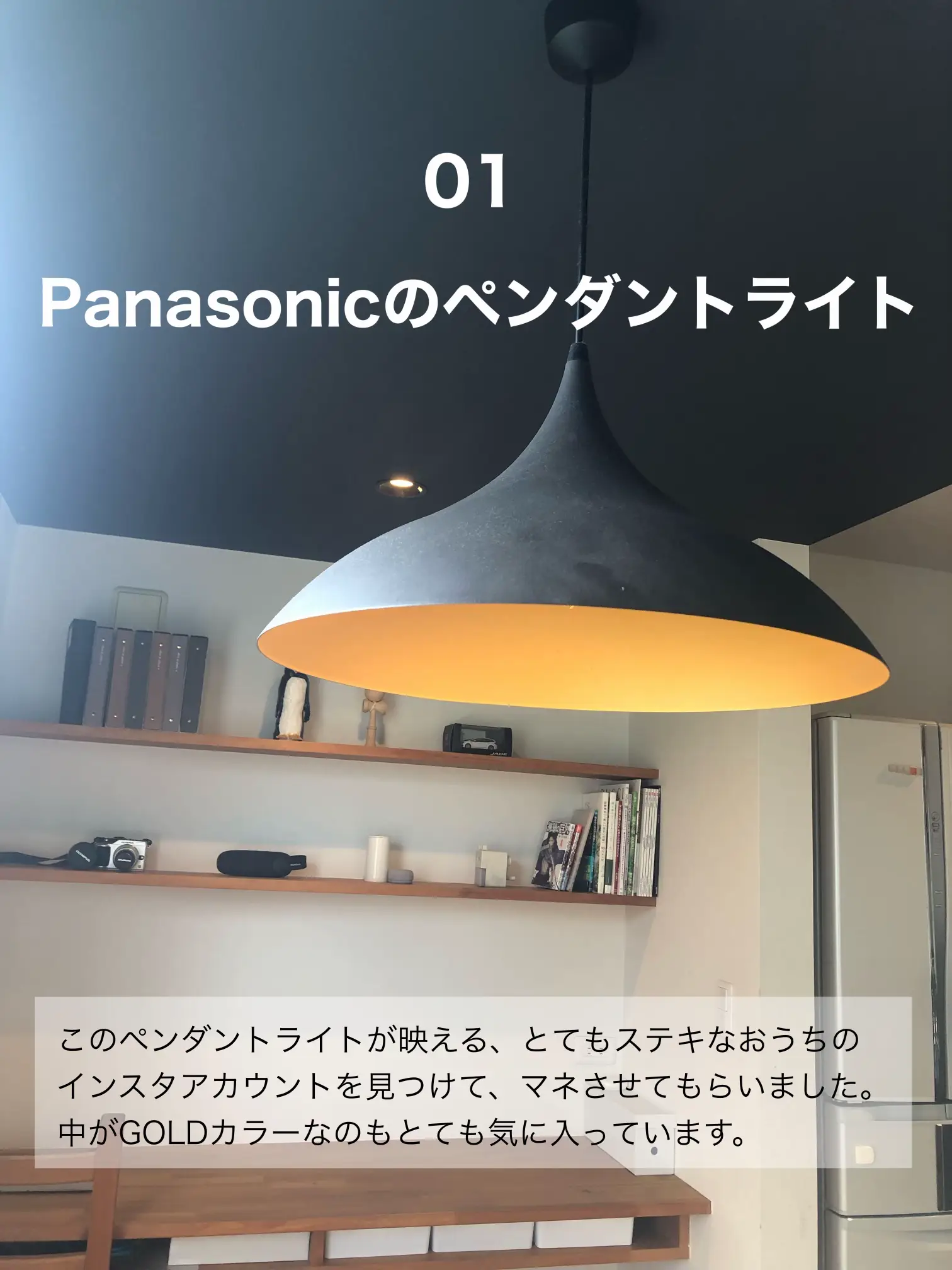 値下【展示品】 パナソニック ペンダントライト LGB10223LE1 黒