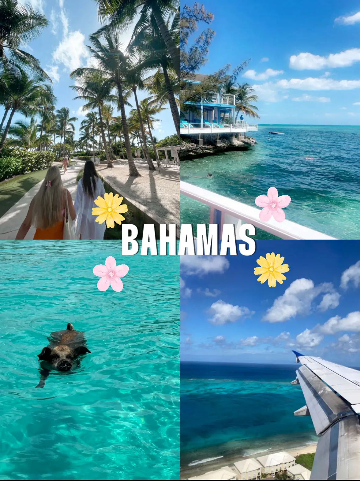 Travel Tips for Photography in The Bahamas - Lemon8 Search