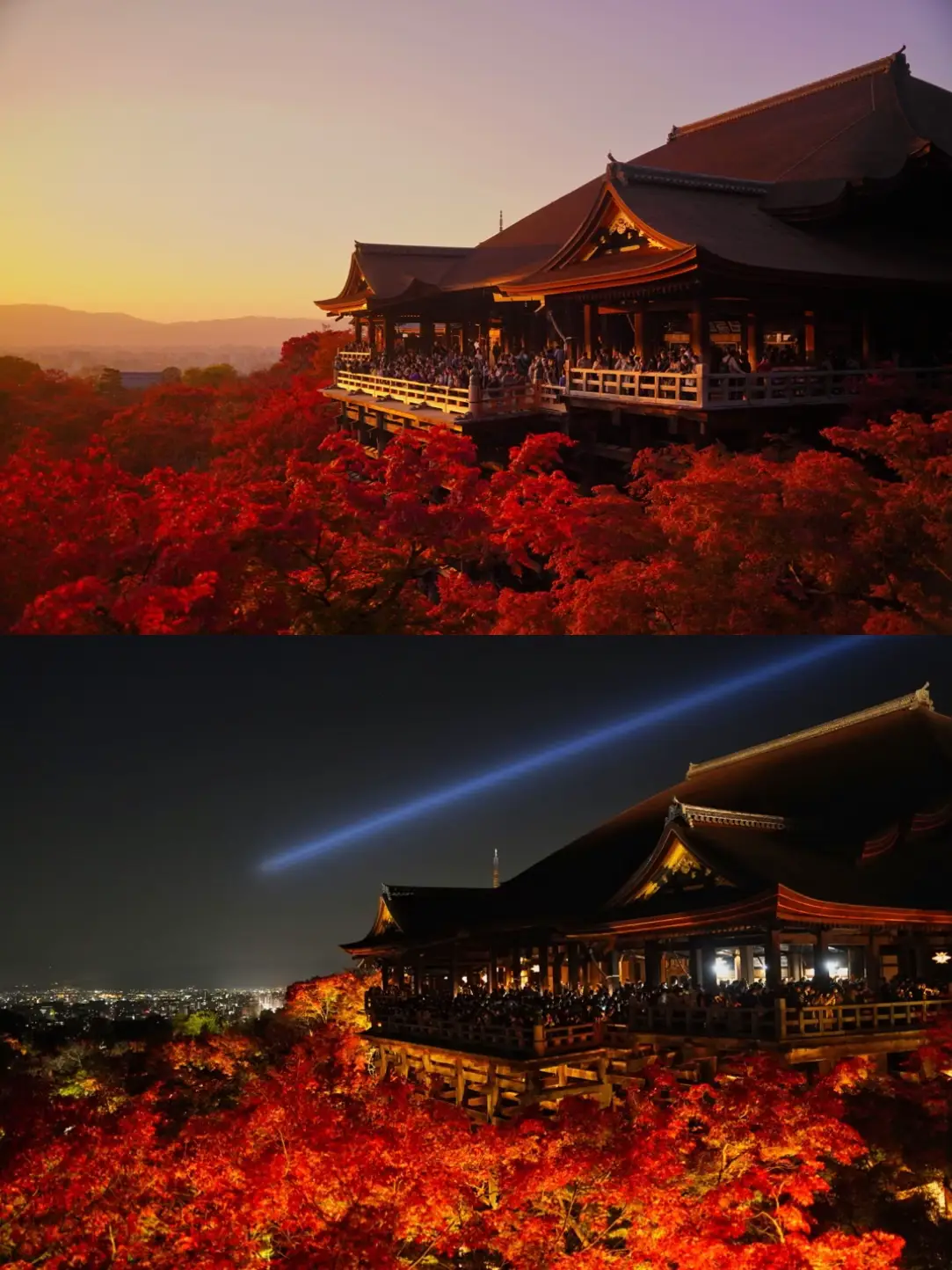 Preservation Version] Ease of Rotation in 2 Days Priority ‼️