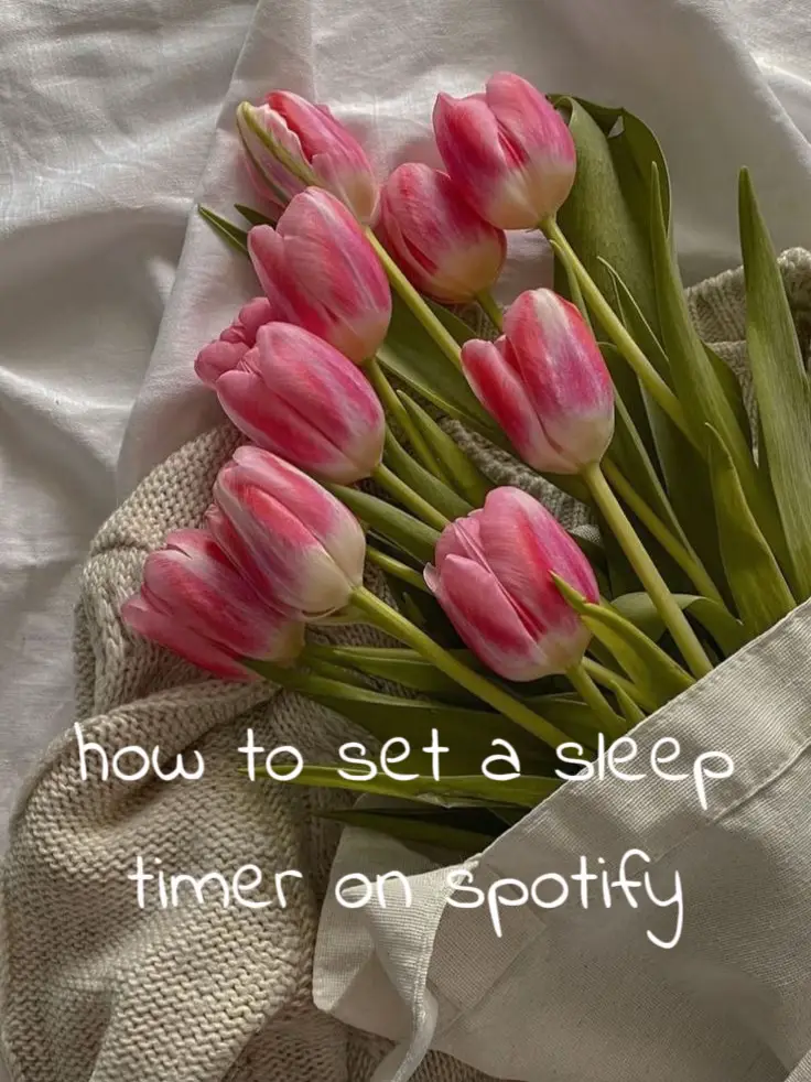 How To Set A Sleep Timer On Spotify Video Published By Morgan Lemon8   Ooqtw9ADJueEeiQAvp3fsjAA4gQf4UfYg7VxfV~tplv Tej9nj120t Origin.webp