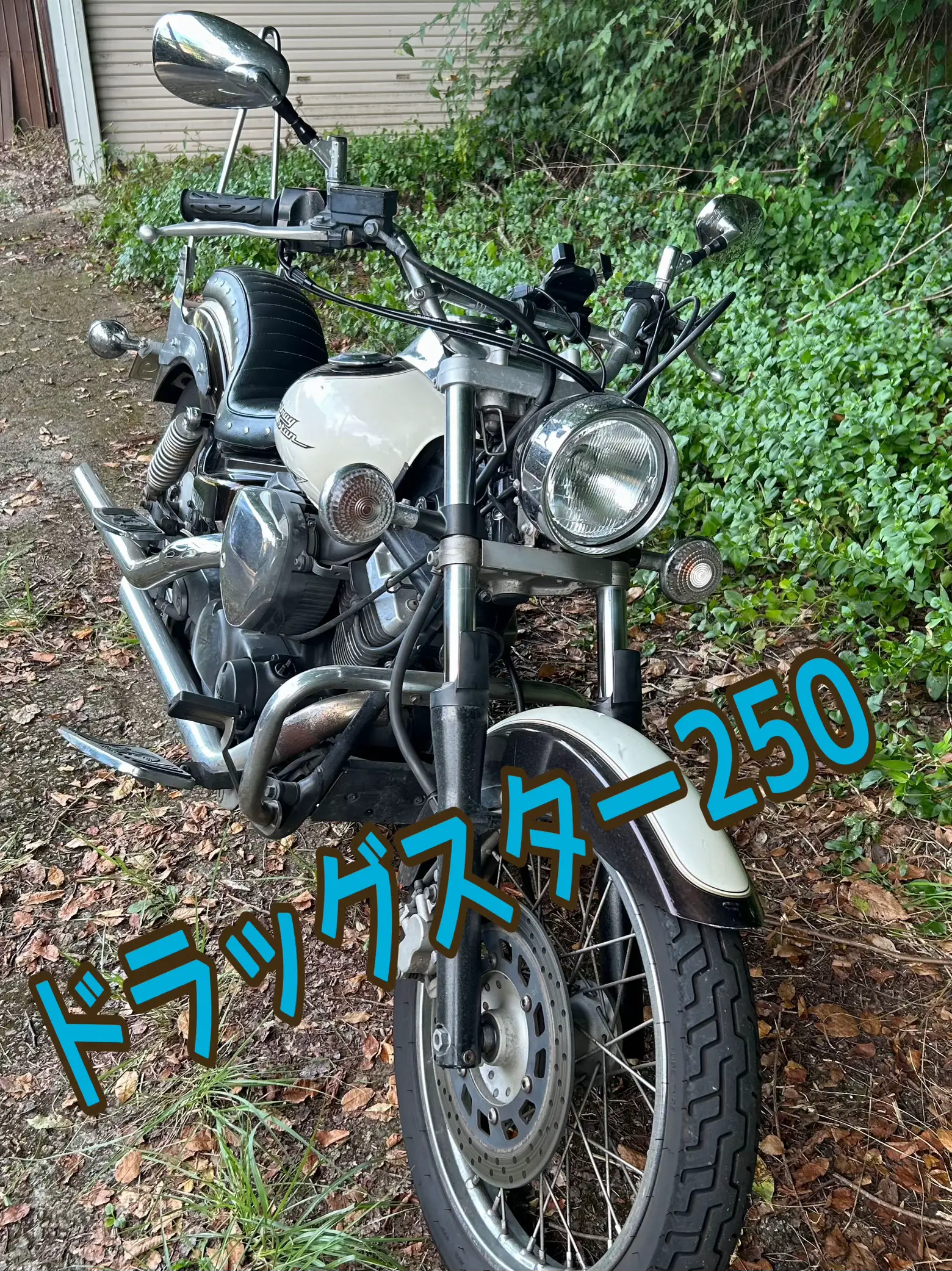 Vtwinマグナ250cc アーミー風に仕上げてみました 早けれ 売買されたオークション情報 落札价格 【au  payマーケット】の商品情報をアーカイブ公開