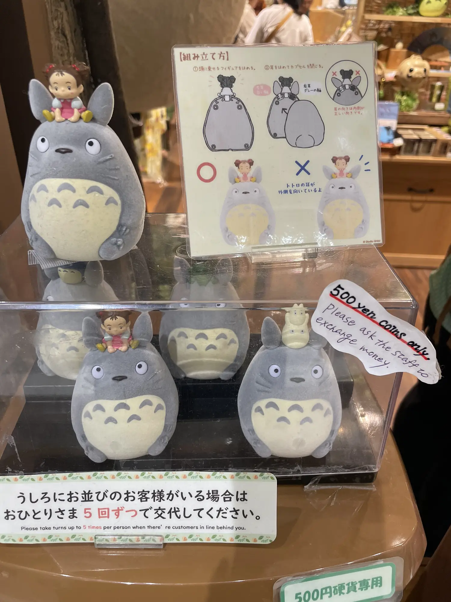 Come on, Totoro. | Gallery posted by 田中天｜カプセルトイを回す人