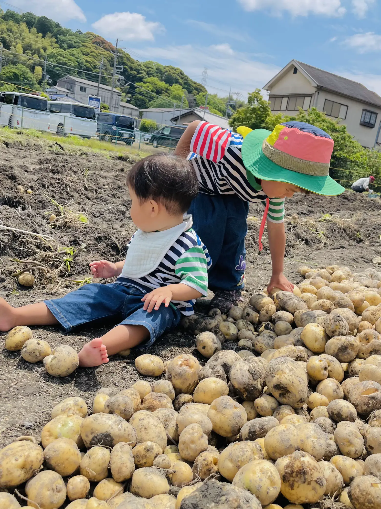 ジャガイモ堀り | 薬剤師ママ Misakiが投稿したフォトブック | Lemon8