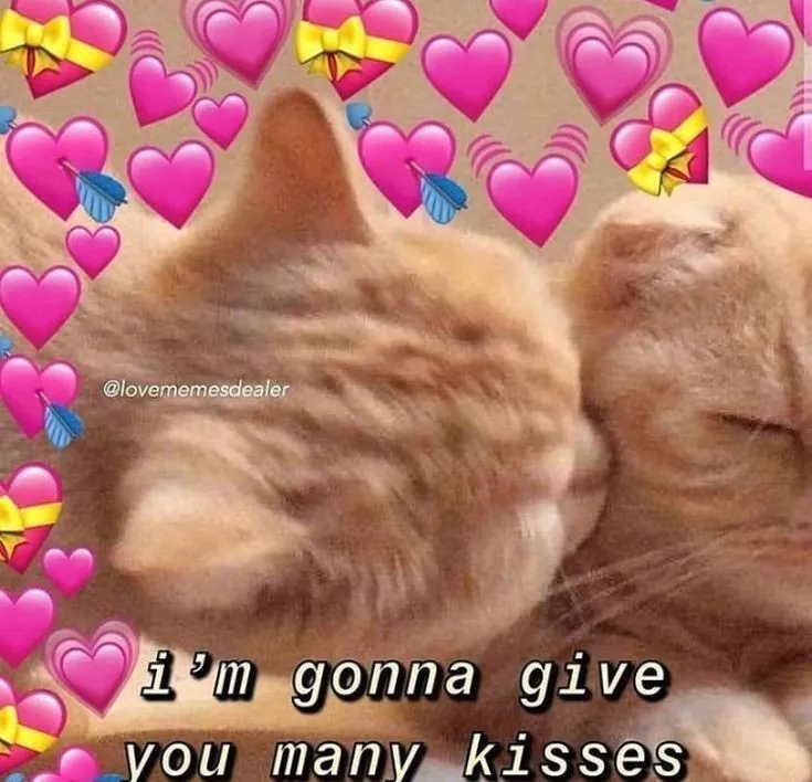 36 Uwu ideas  cute memes, cute love memes, cute doodles