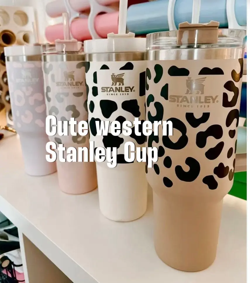 Lainey Wilson Releases Second Stanley Tumbler Cup: Where to Buy It –  Billboard