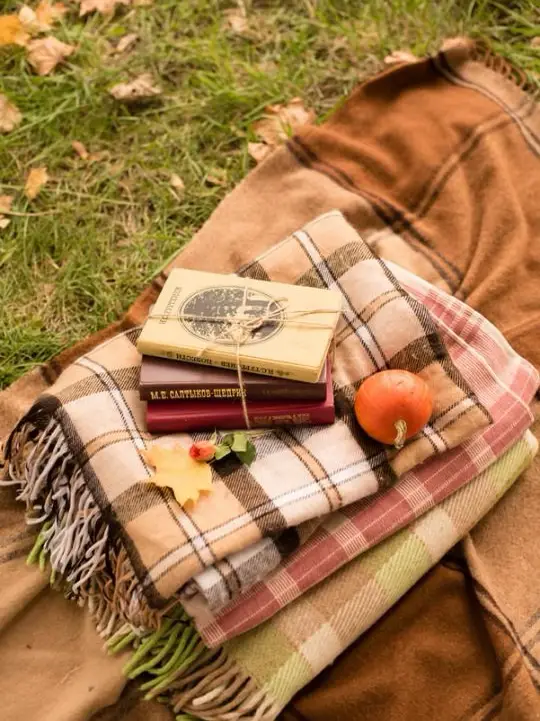 Cozying up to these plaid couches on this crisp fall day – the coziest way  to embrace the season! 🍁🍂
