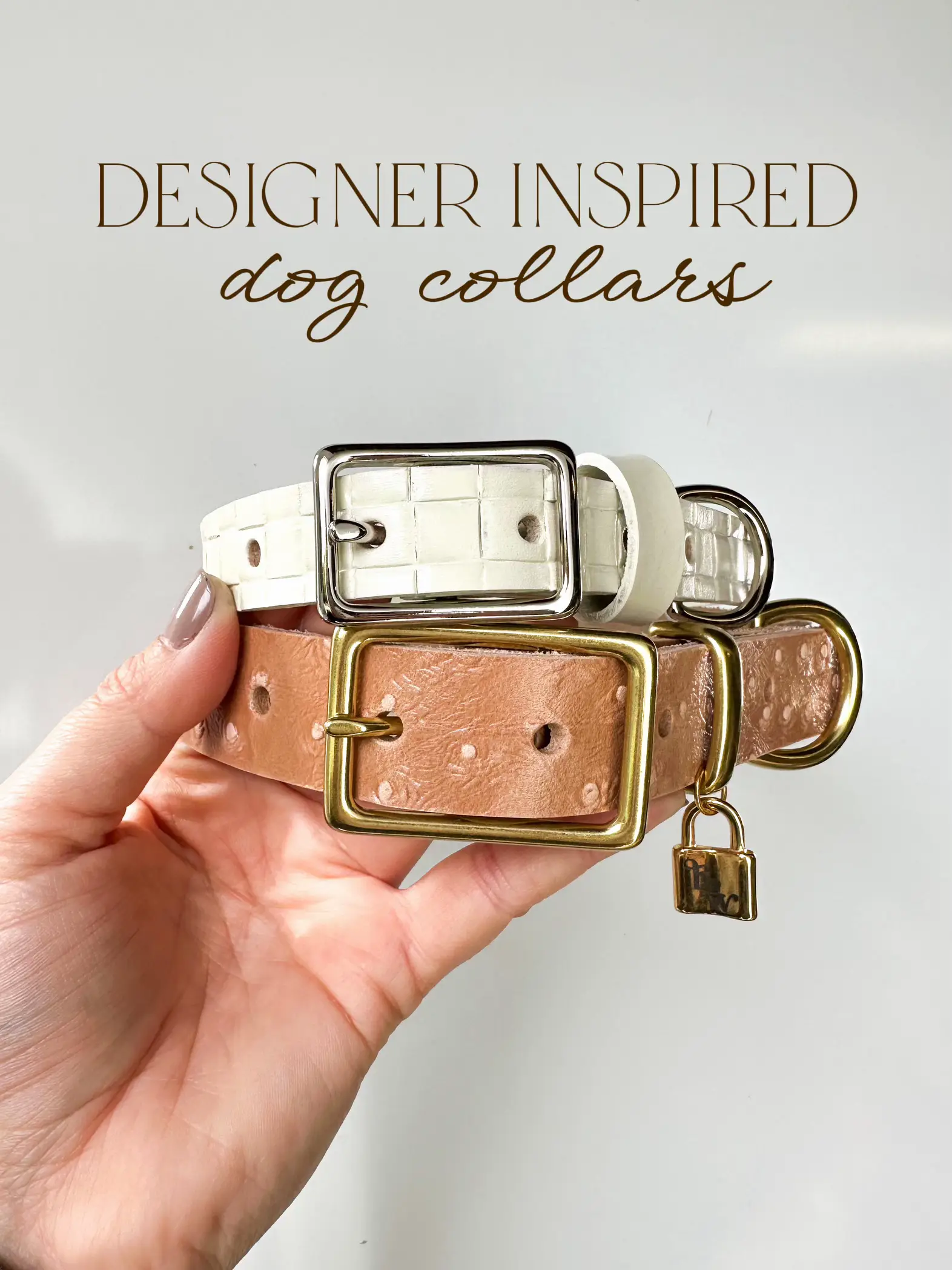 Designer inspired dog clearance collars