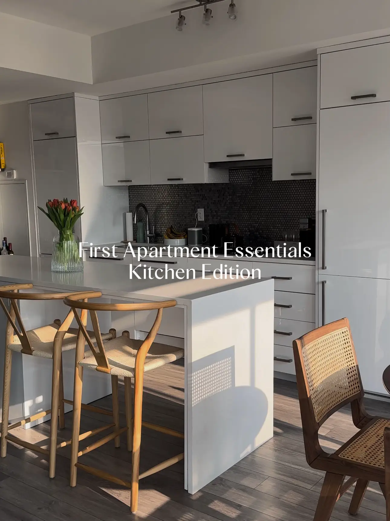 Essential Kitchen Items for Your First Apartment