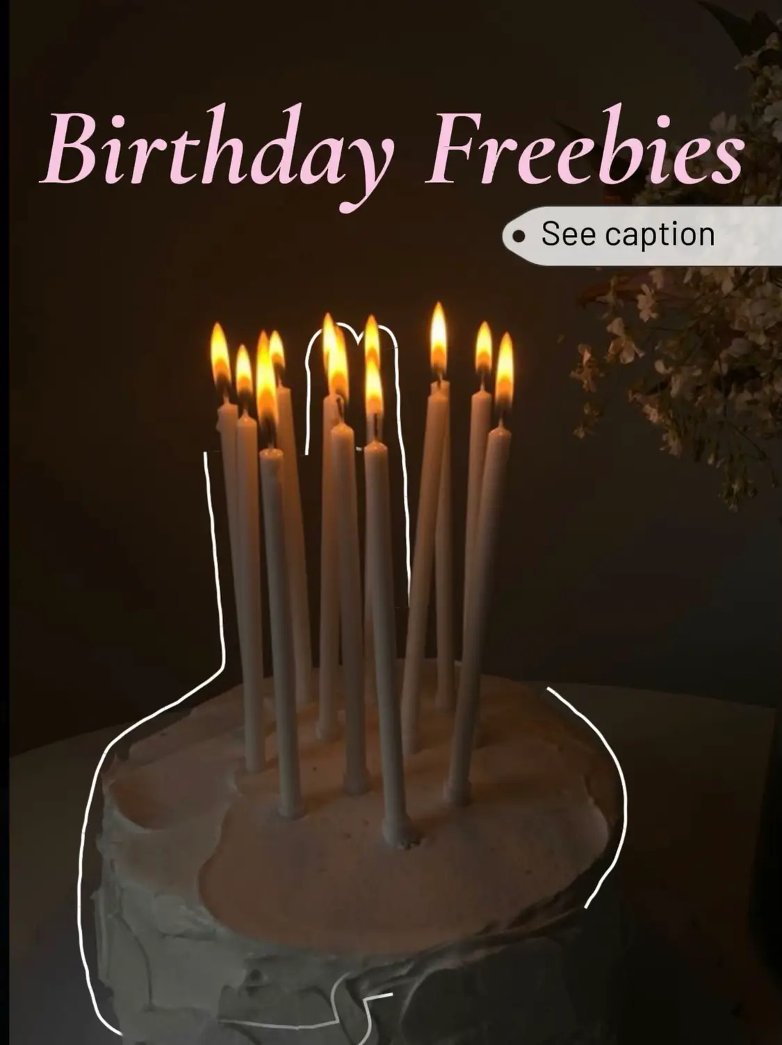 28+ Birthday Freebies Colorado Springs