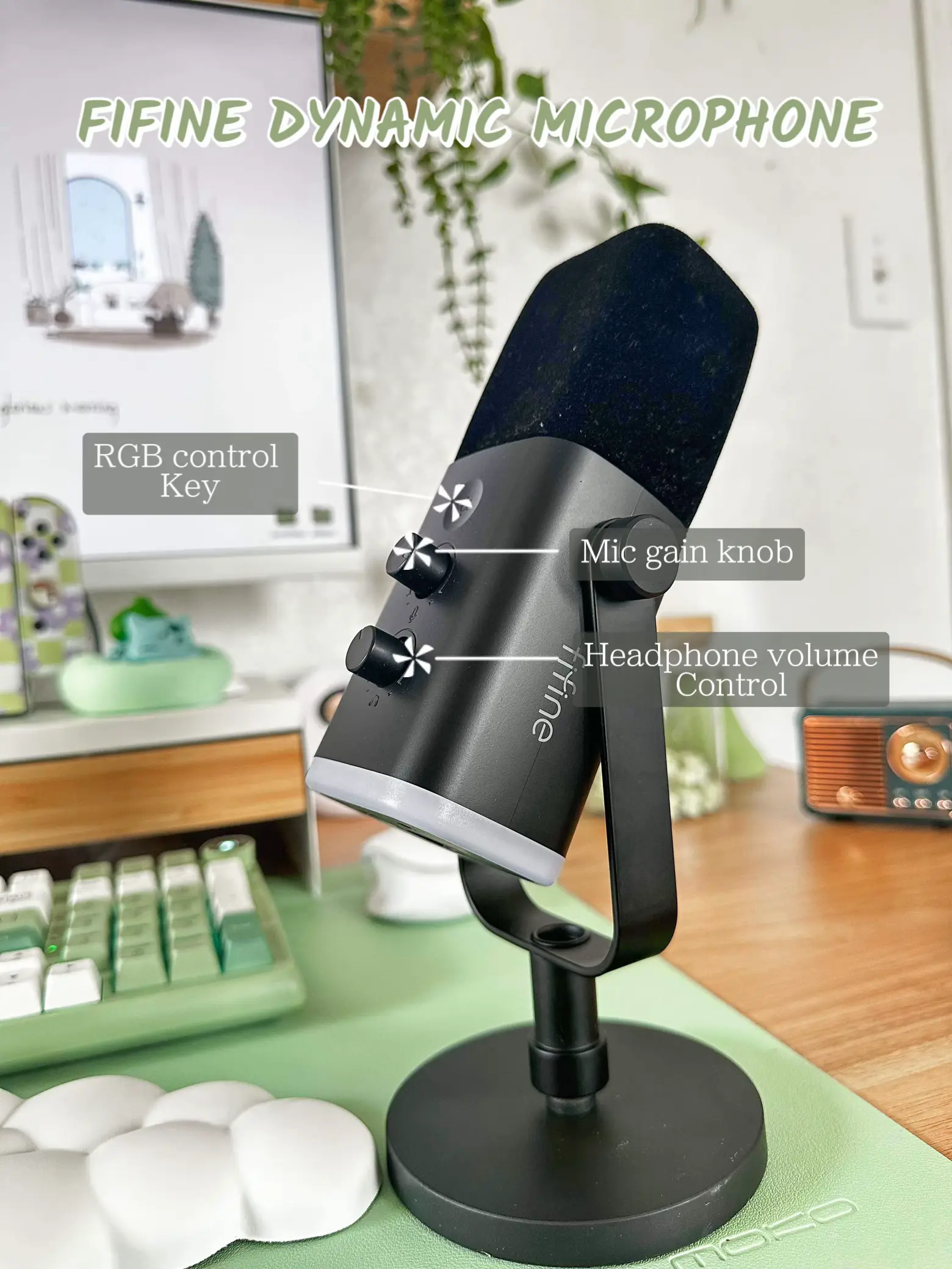  FIFINE XLR/USB Dynamic Microphone for Podcast Recording, PC  Computer Gaming Streaming Mic with RGB Light, Mute Button, Headphones Jack,  Desktop Stand, Vocal Mic for Singing -AmpliGame AM8 : Everything Else