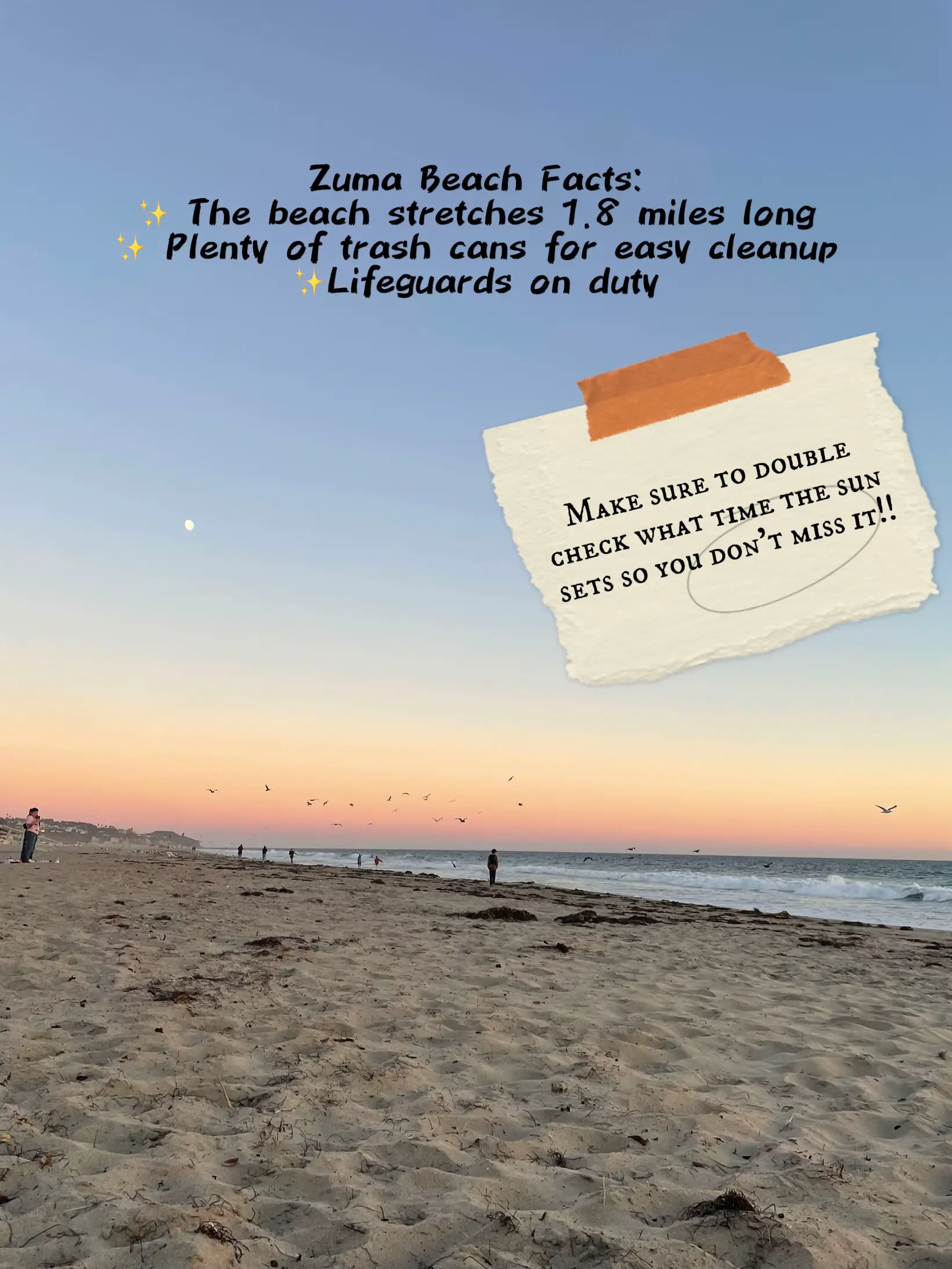 Spot Check: Zuma Beach