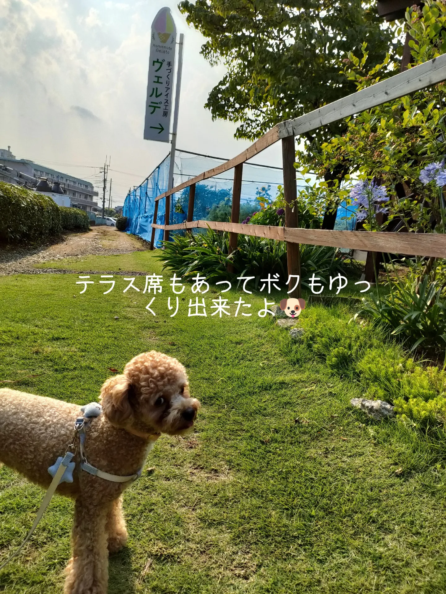 伊東美咲　gif 睡眠薬 ☆ﾌｼﾞ坊年末ｽﾍﾟｼｬﾙ…｢2022年の出来事(社会編)①!｣ | ☆フジ坊の ...