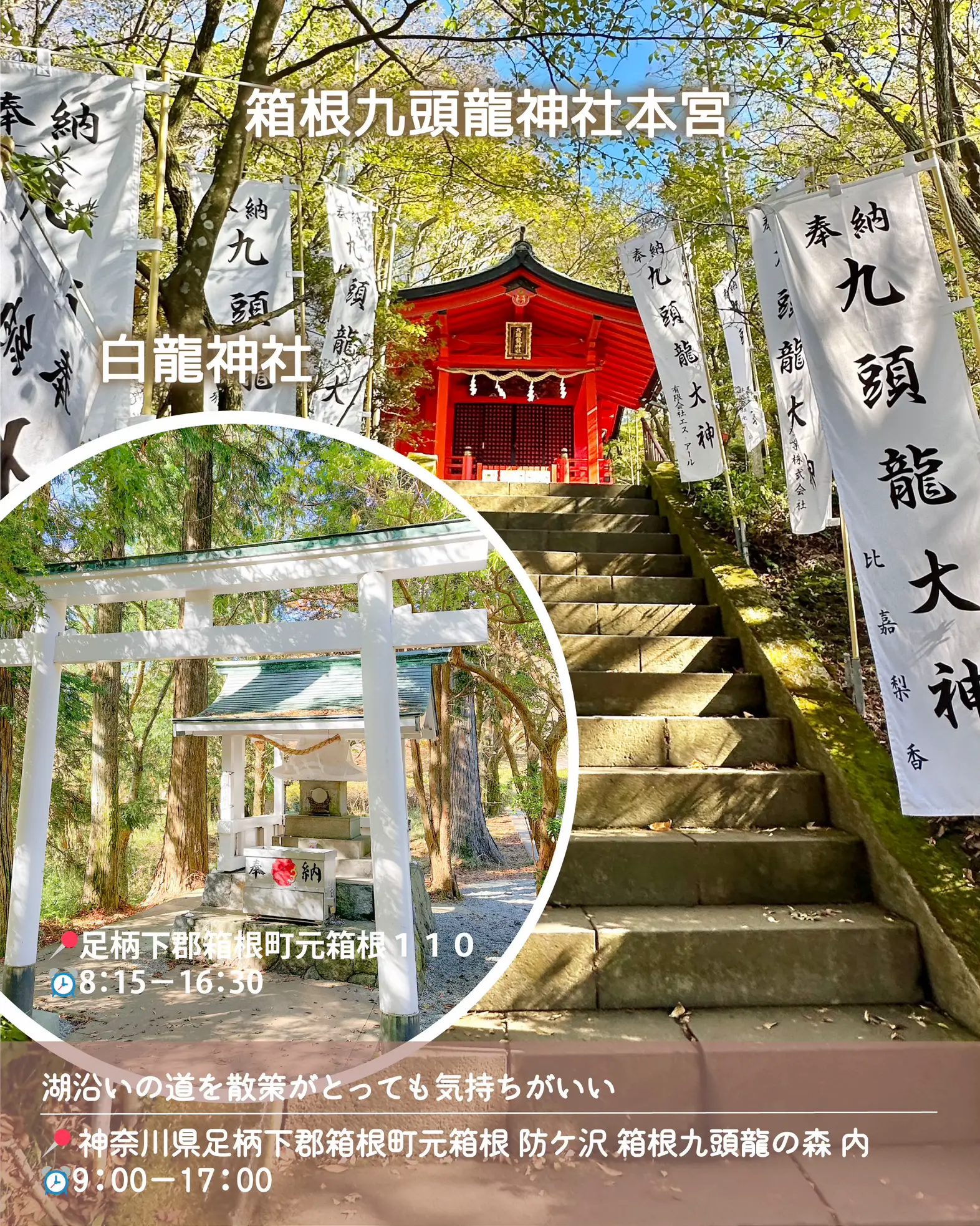 九頭龍神社☆龍神水(500ml) - その他