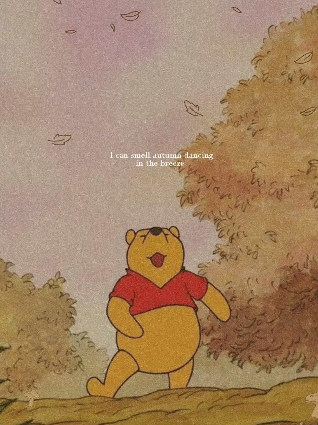 Winnie the Pooh Trailer 🍯💛, NEW SHORTS