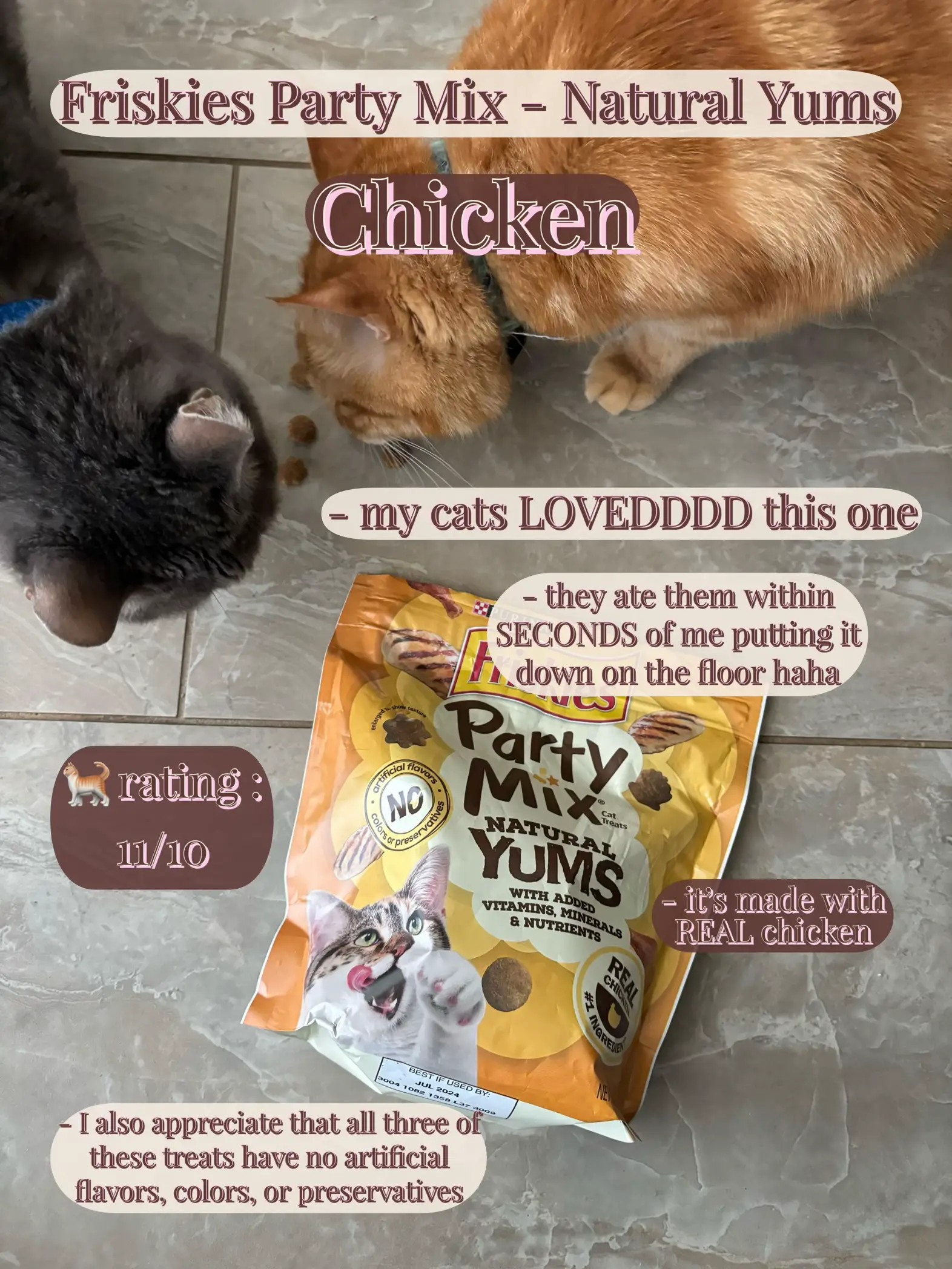 HONEST Review of Friskies Party Mix Natural Yums Gallery posted by