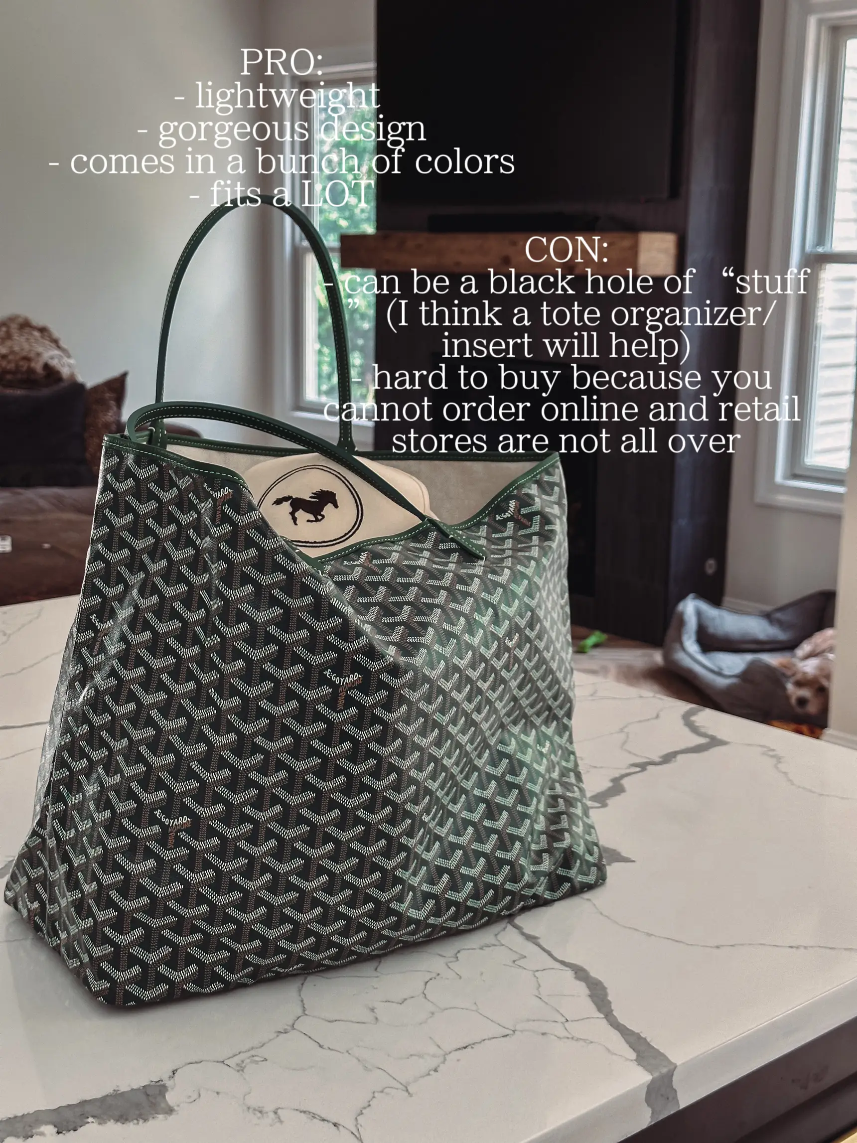 Goyard Saint Louis PM Vs. GM Review and Comparison with Pros and