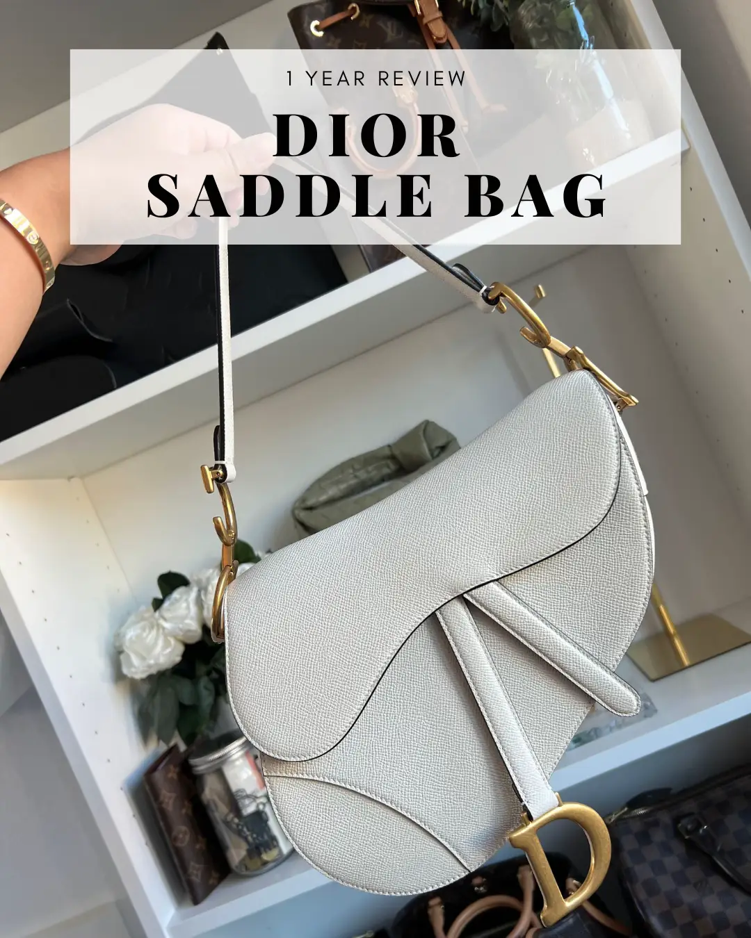 Dior Mini Saddle Bag Organizer