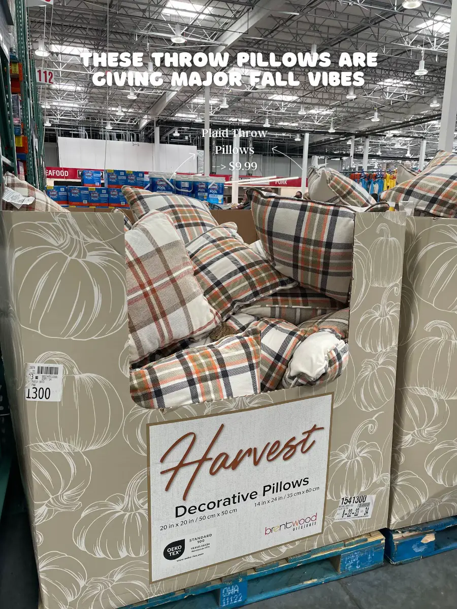 Studio chic home 2024 decorative pillows costco