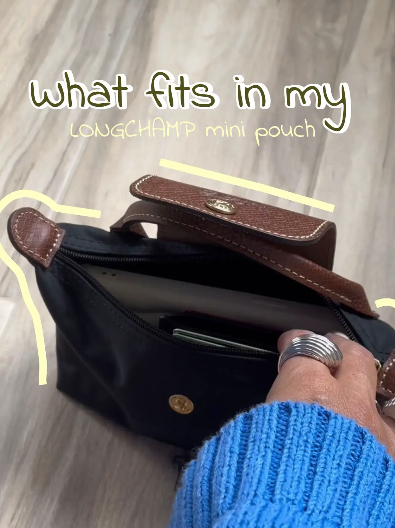 Longchamp Mini Pouch Review, Gallery posted by Mallory Lisa
