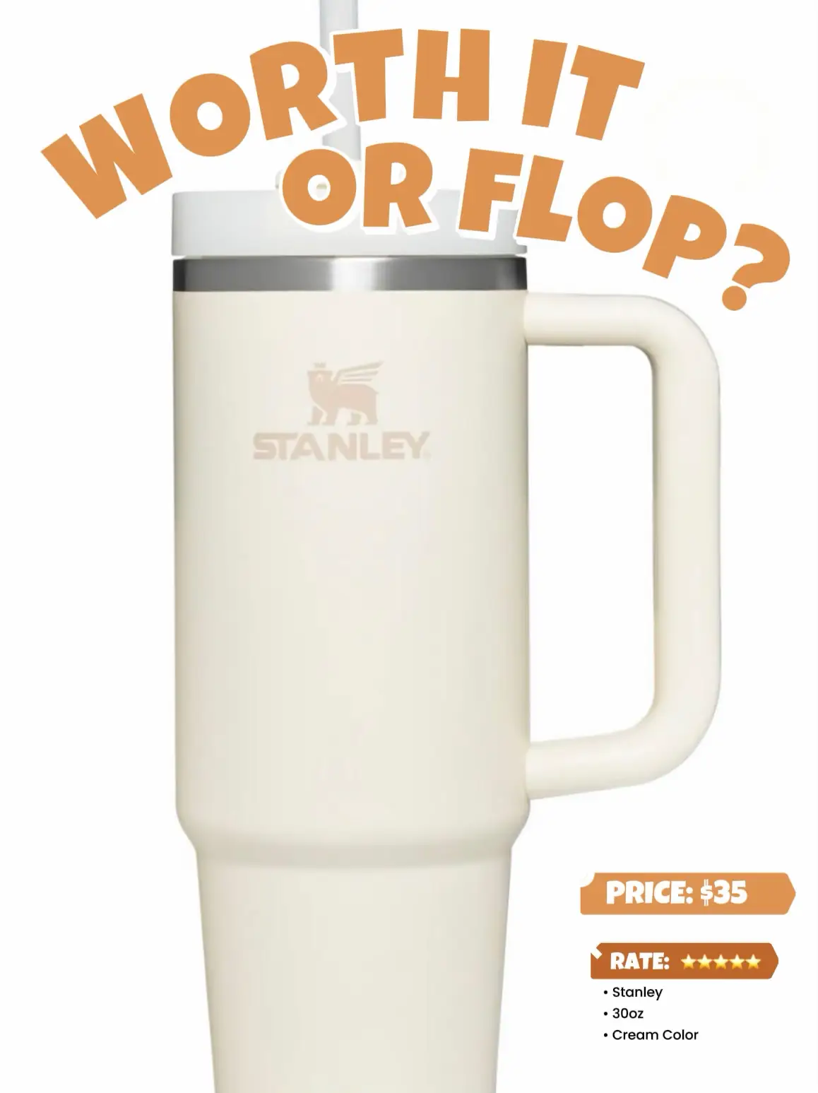 Worth The Hype? Is The Viral Mega Stanley Quencher Cup Worth Its £££ Price  Tag?