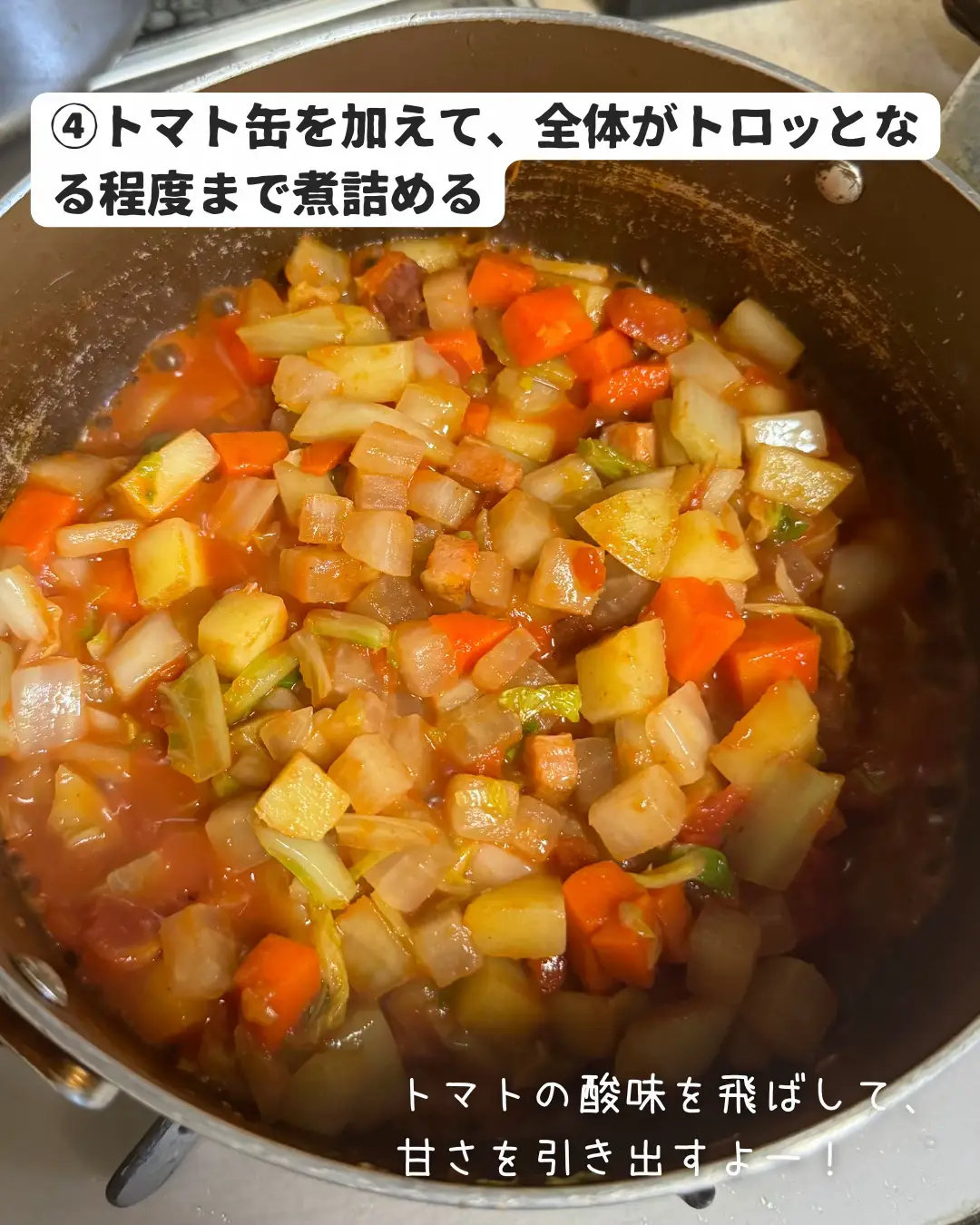 寒い日に飲みたいあったかスープ！白菜と大根のミネストローネ | Ryuto