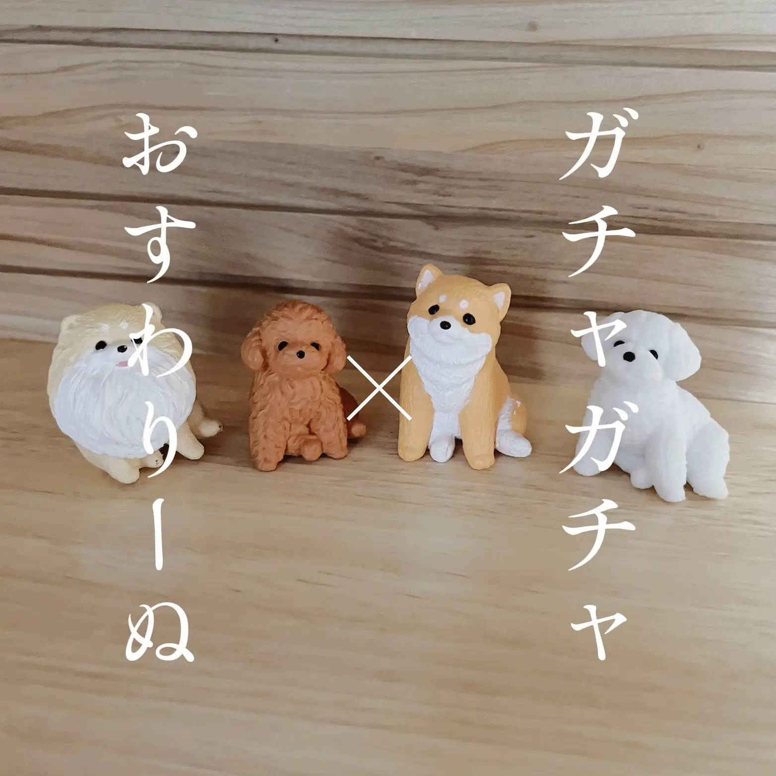 ピコ様柴犬 ペン立て