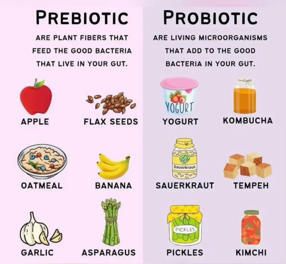 Prebiotic vs Probiotic | Gallery posted by VeganRena | Lemon8