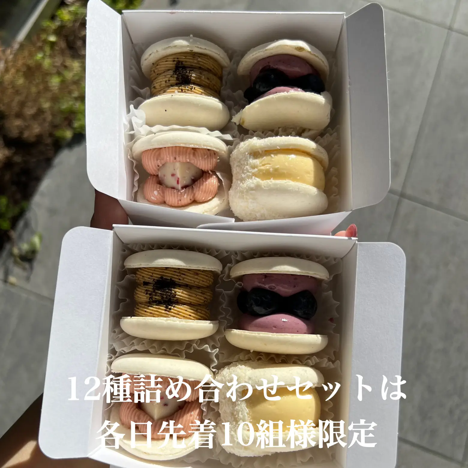 Cute and delicious white macaron   | Gallery posted by 名古屋