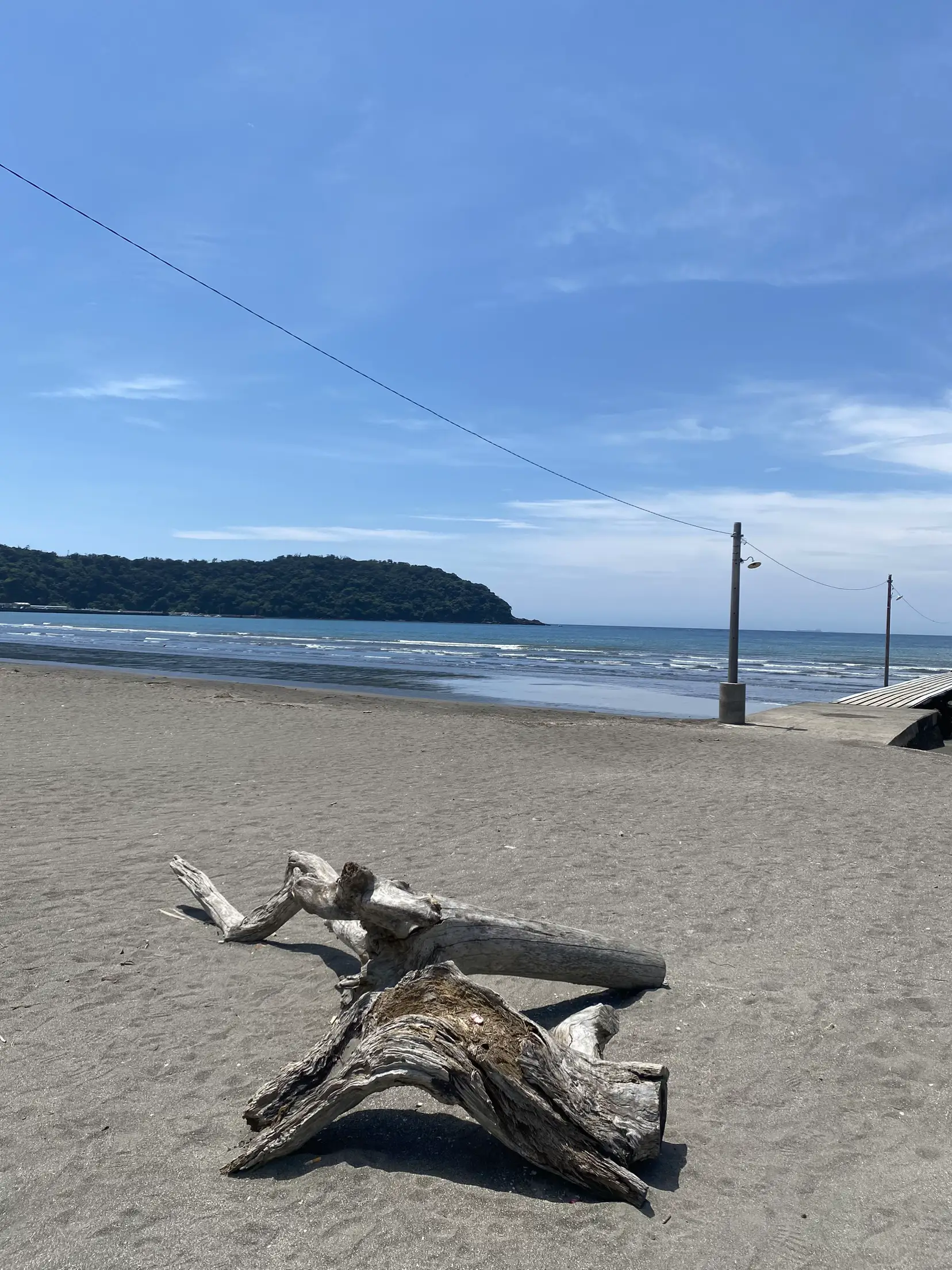 地元の海から取れました少し大きめの流木です！