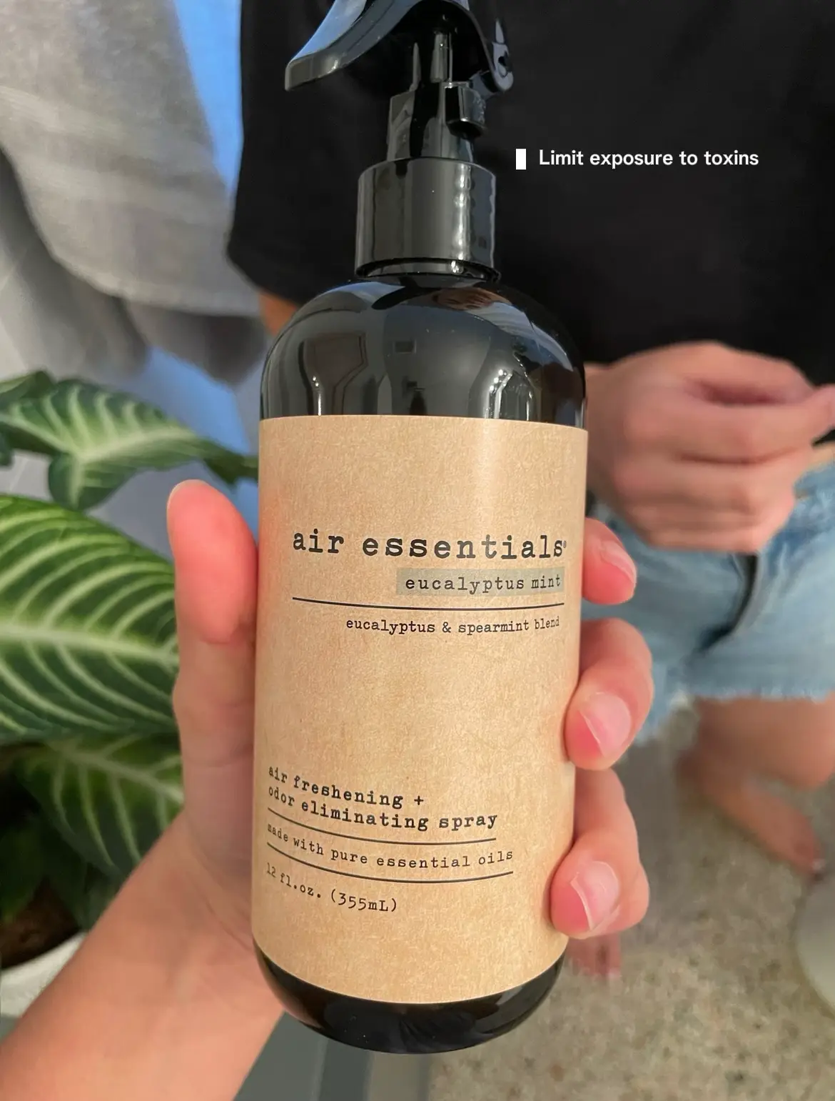 eucalyptus mint air freshening & odor eliminating sprays – The Air  Essentials