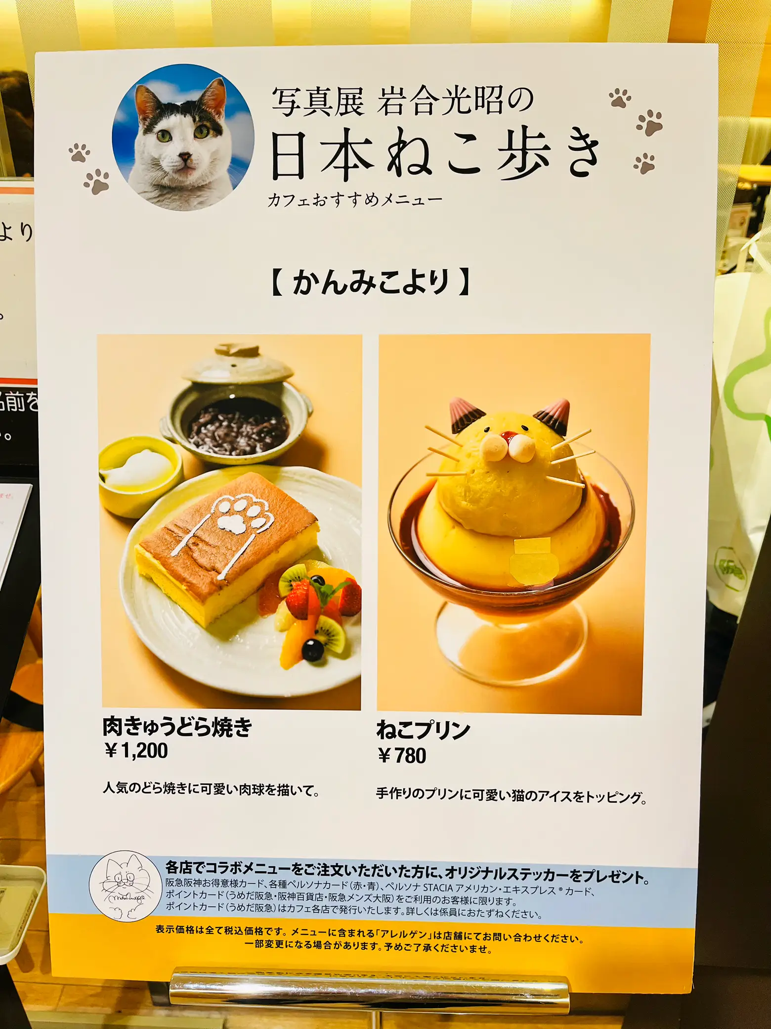 ネコ好きさん必見🐈岩合光昭の日本ねこ歩きコラボ限定「ねこプリン