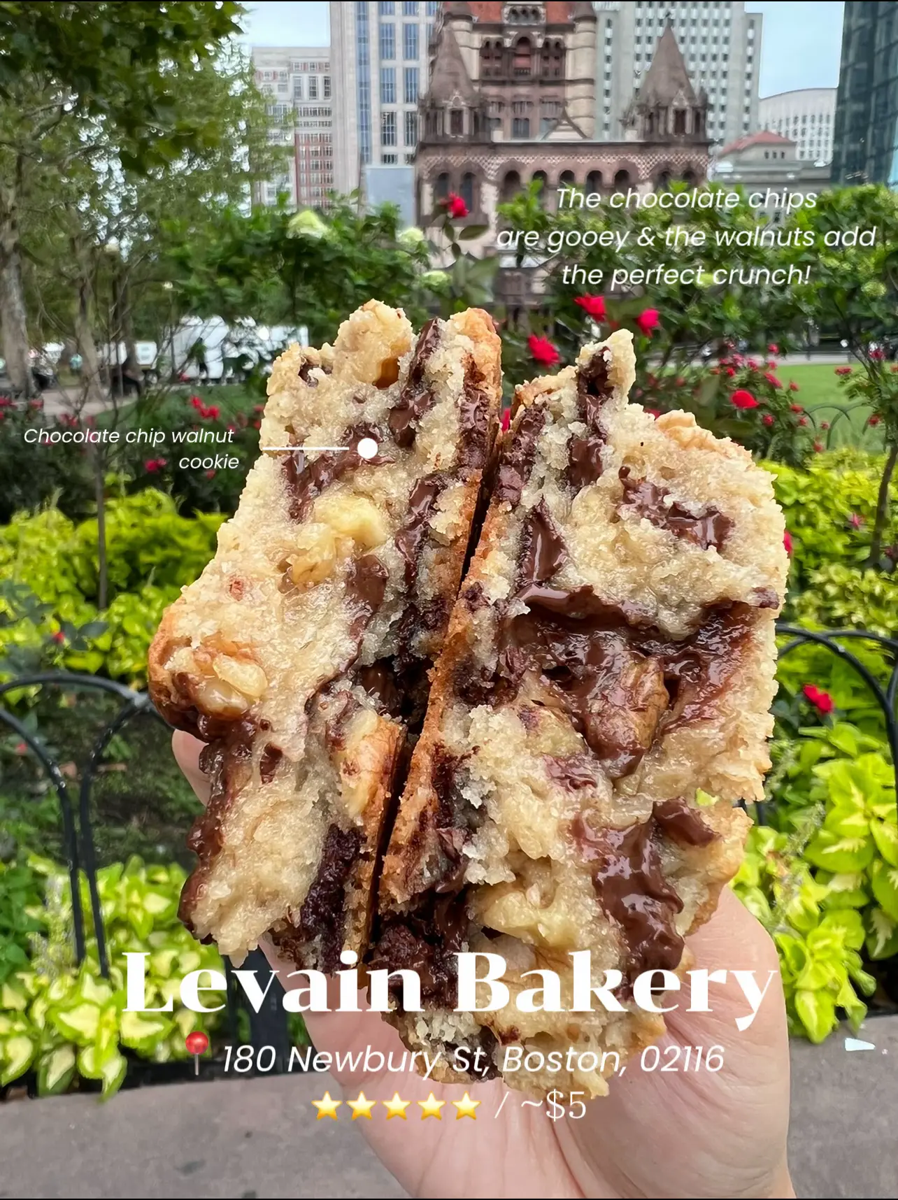 Levain Bakery comes to Boston